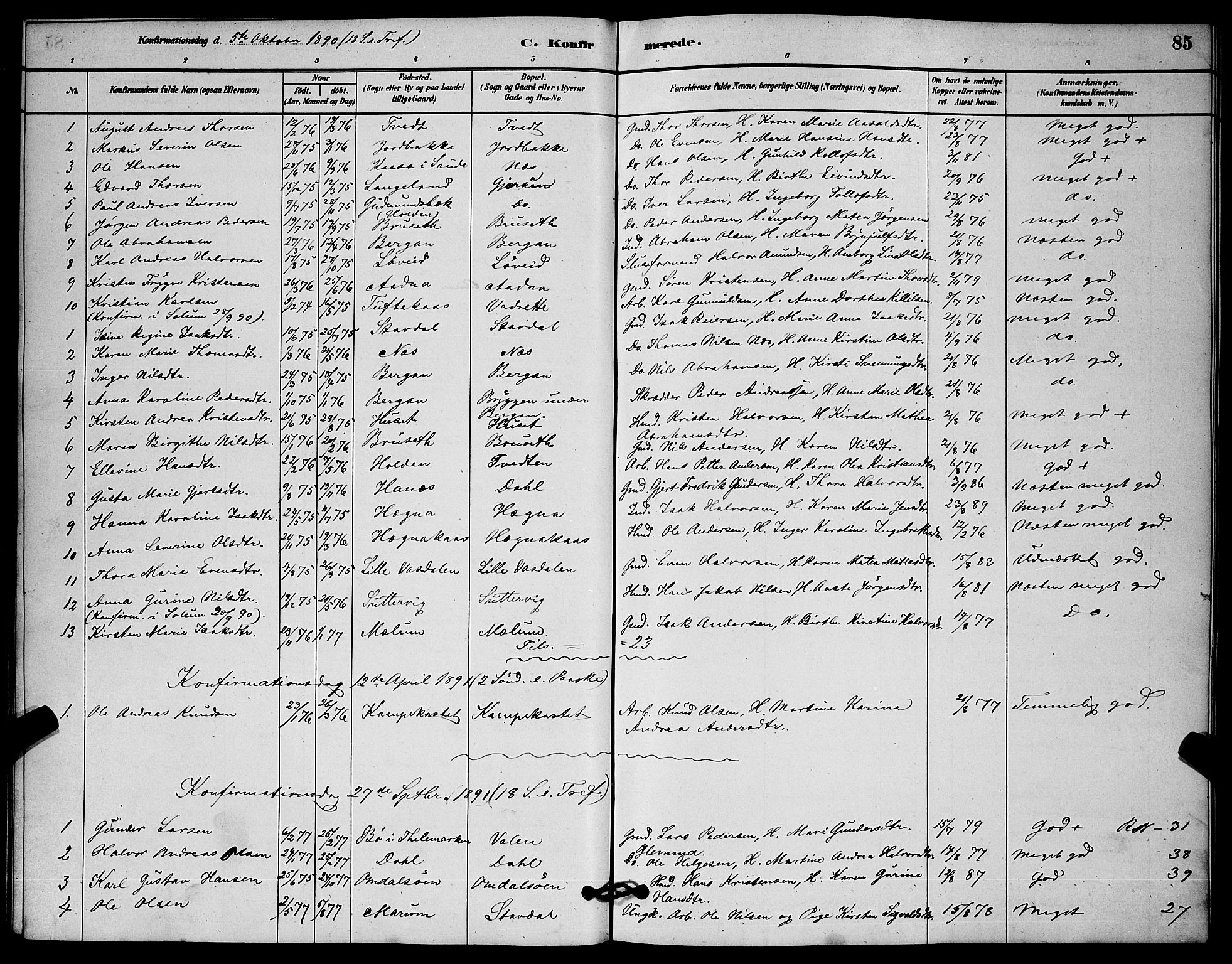 Solum kirkebøker, AV/SAKO-A-306/G/Gb/L0003: Parish register (copy) no. II 3, 1880-1898, p. 85