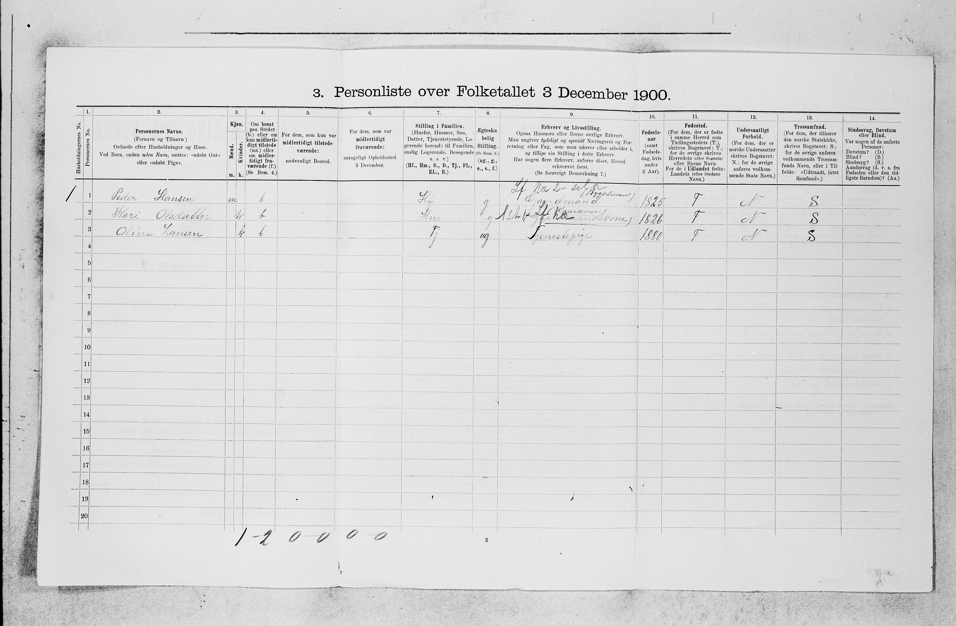 SAB, 1900 census for Os, 1900, p. 219