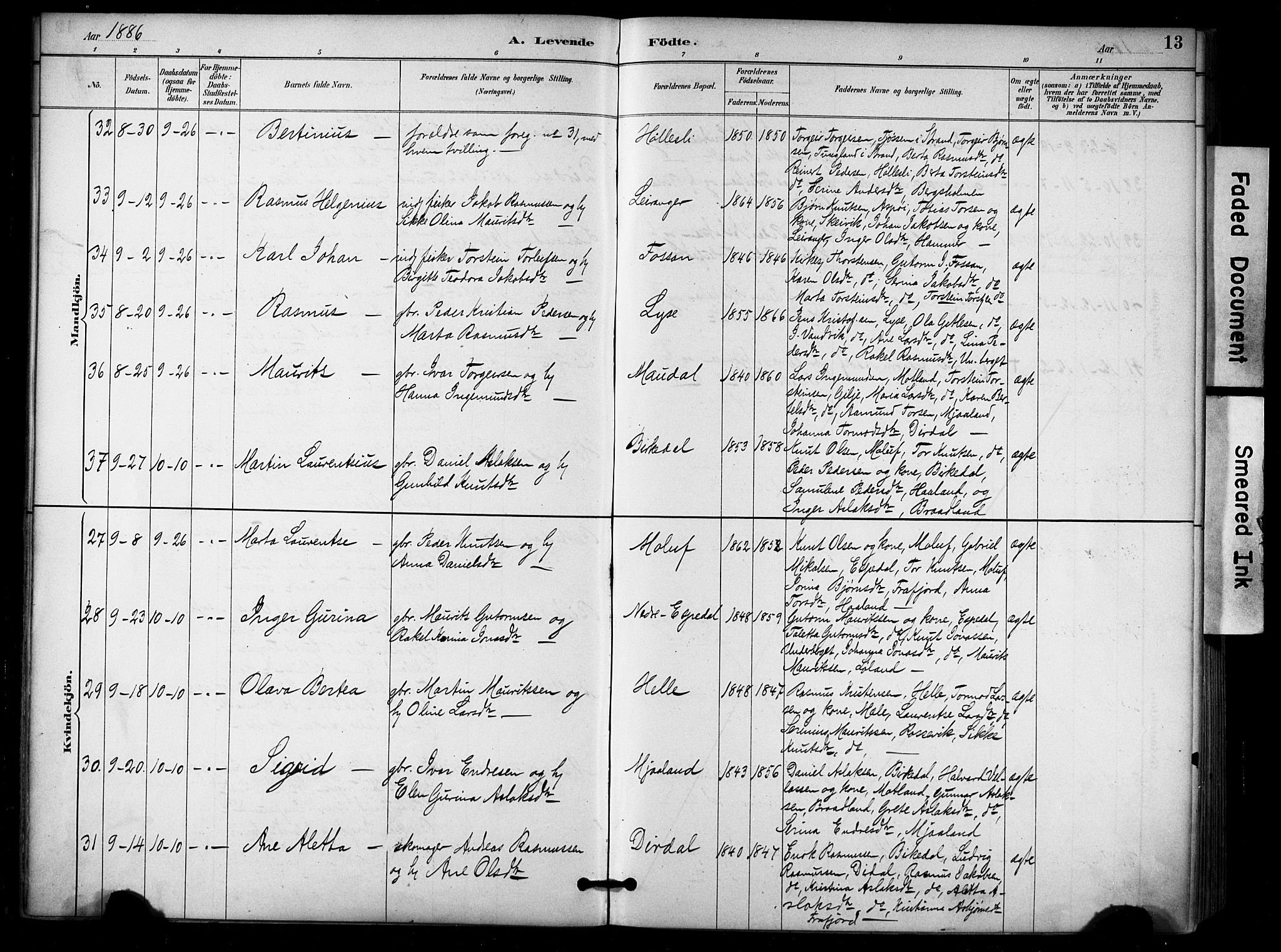 Høgsfjord sokneprestkontor, SAST/A-101624/H/Ha/Haa/L0006: Parish register (official) no. A 6, 1885-1897, p. 13