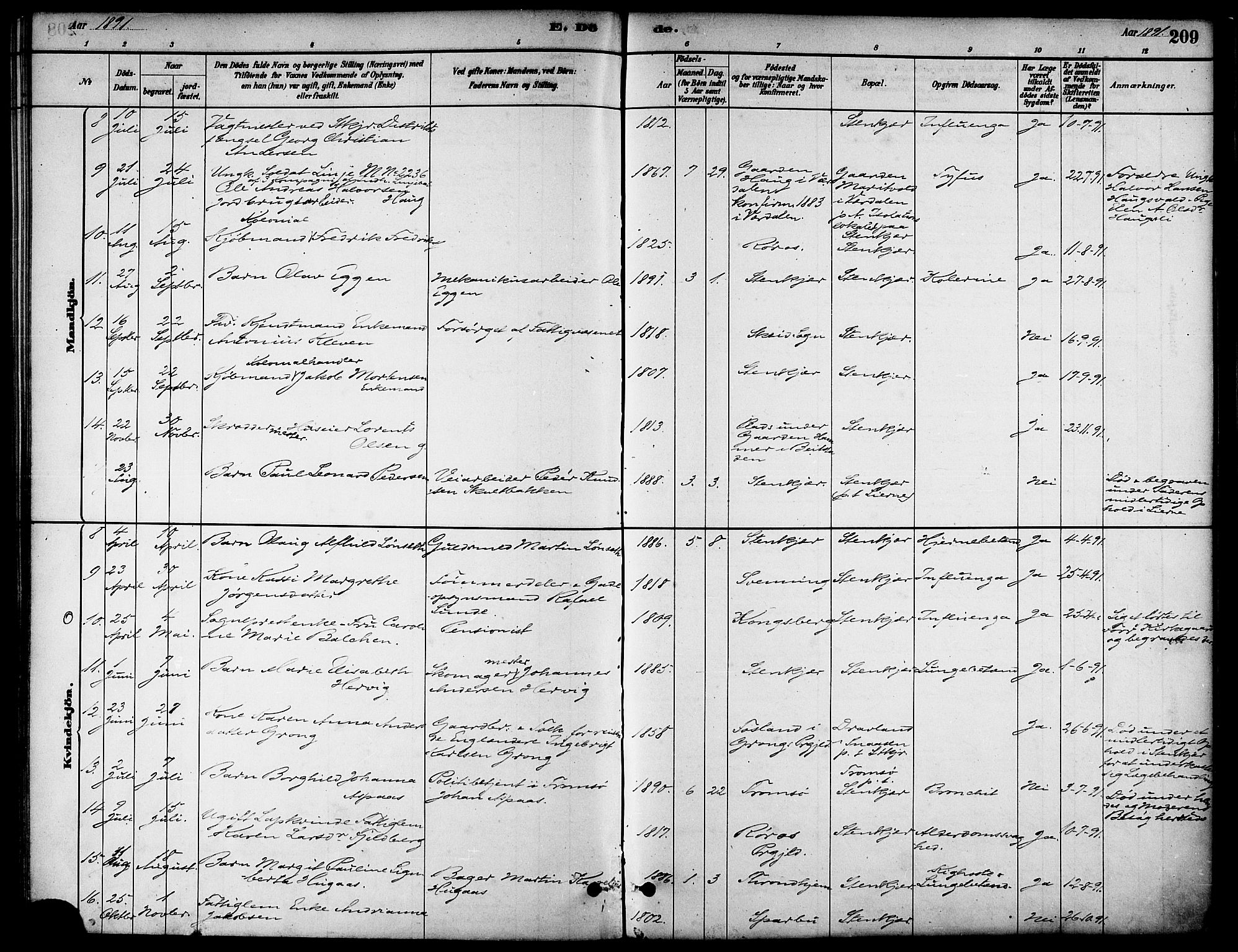 Ministerialprotokoller, klokkerbøker og fødselsregistre - Nord-Trøndelag, SAT/A-1458/739/L0371: Parish register (official) no. 739A03, 1881-1895, p. 209
