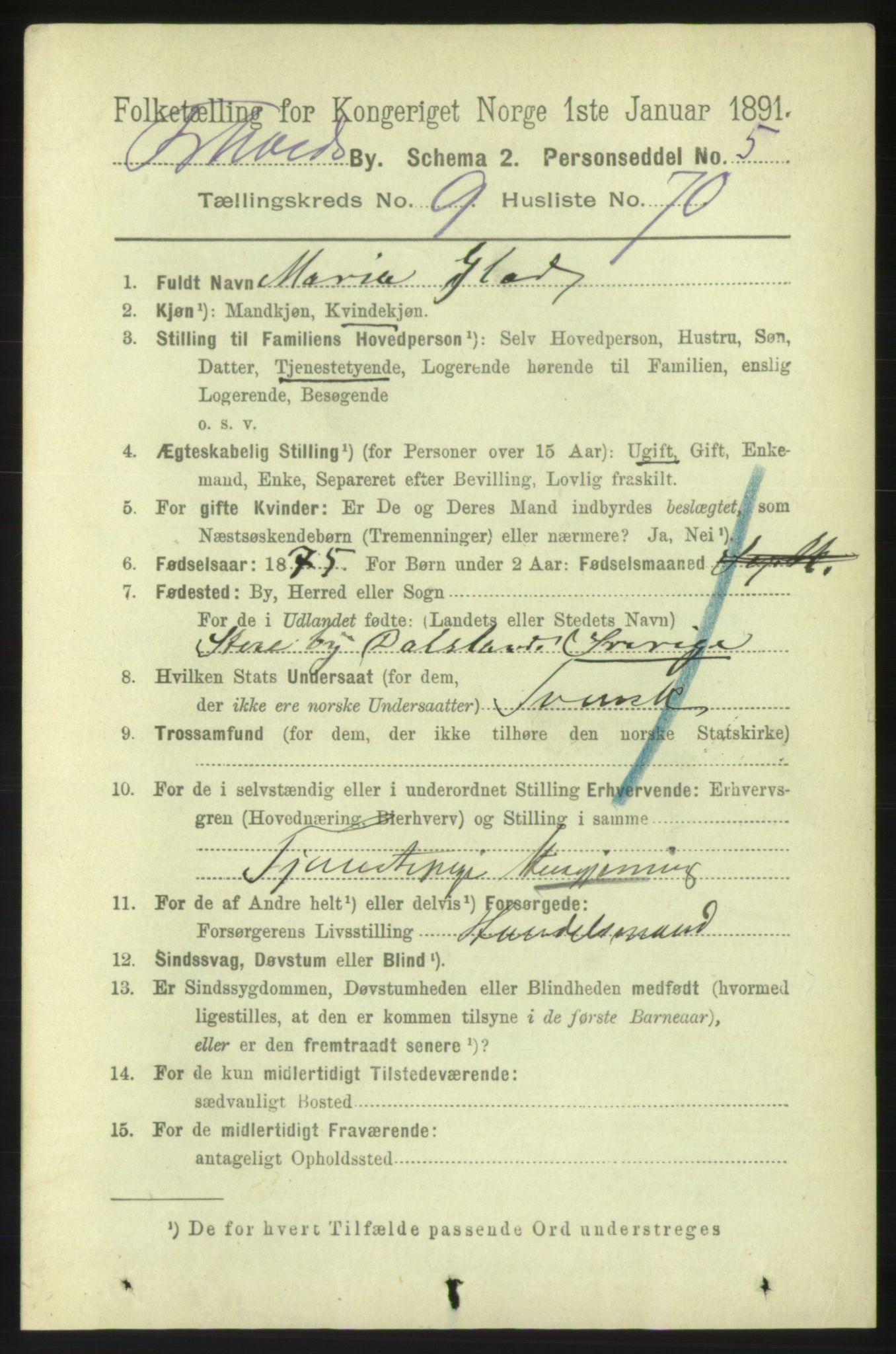 RA, 1891 census for 0101 Fredrikshald, 1891, p. 6995