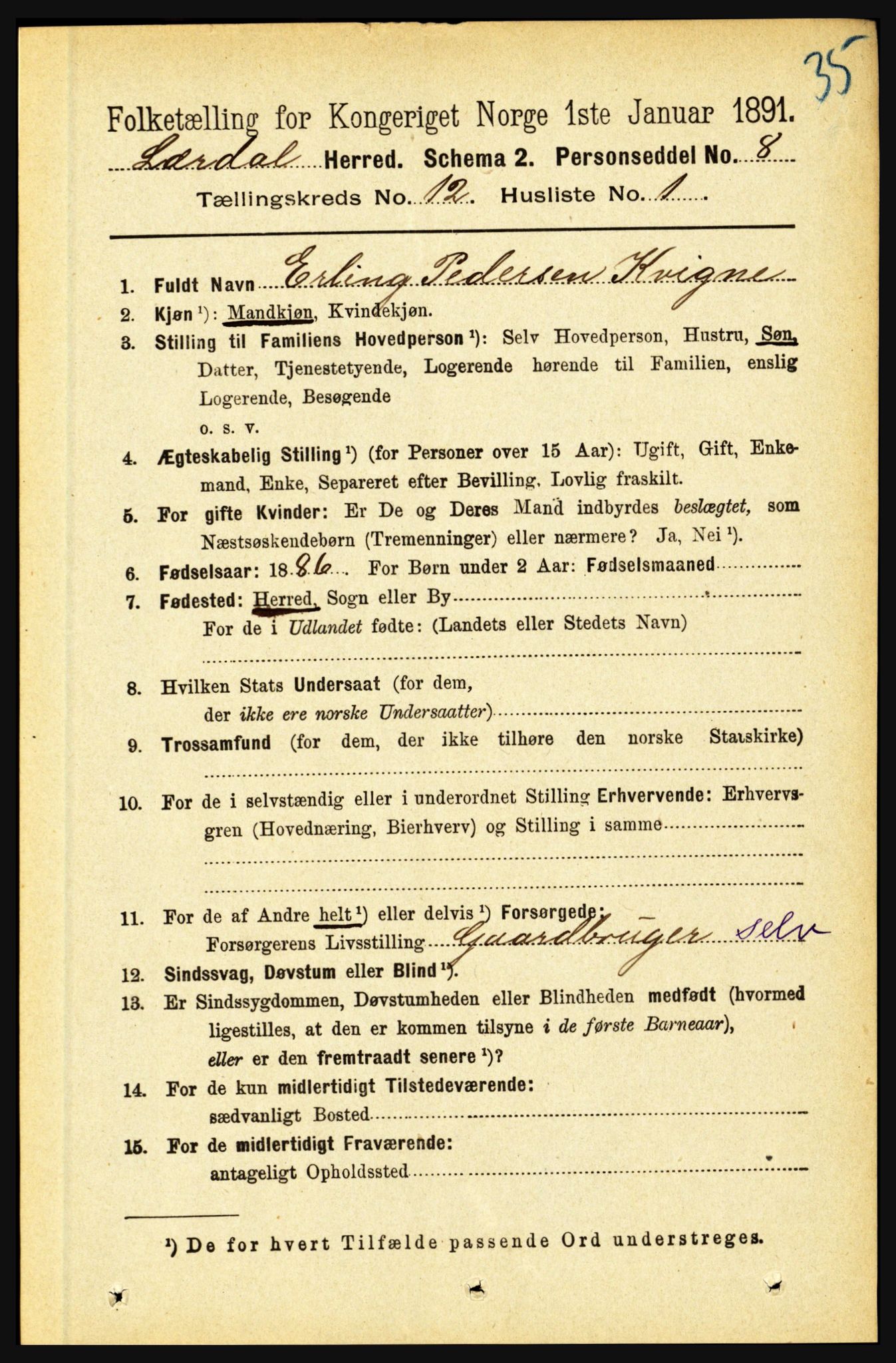 RA, 1891 census for 1422 Lærdal, 1891, p. 2555