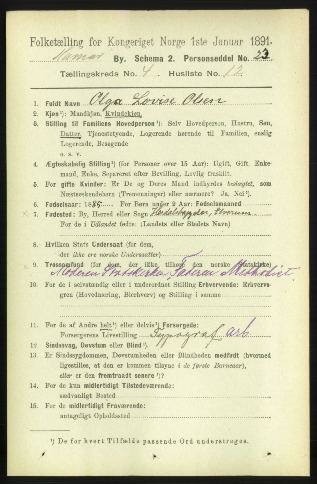 RA, 1891 census for 0401 Hamar, 1891, p. 3000