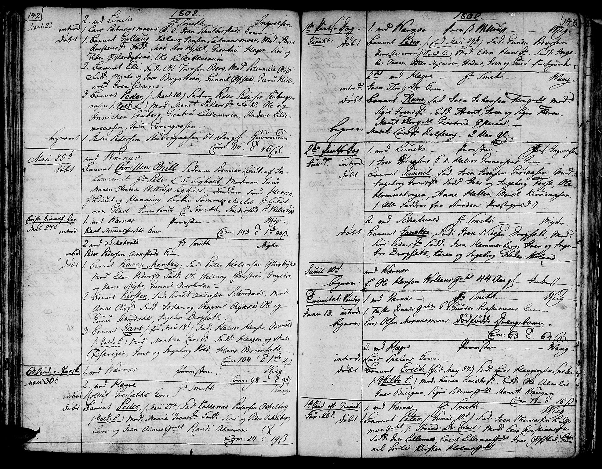 Ministerialprotokoller, klokkerbøker og fødselsregistre - Nord-Trøndelag, SAT/A-1458/709/L0060: Parish register (official) no. 709A07, 1797-1815, p. 142-143