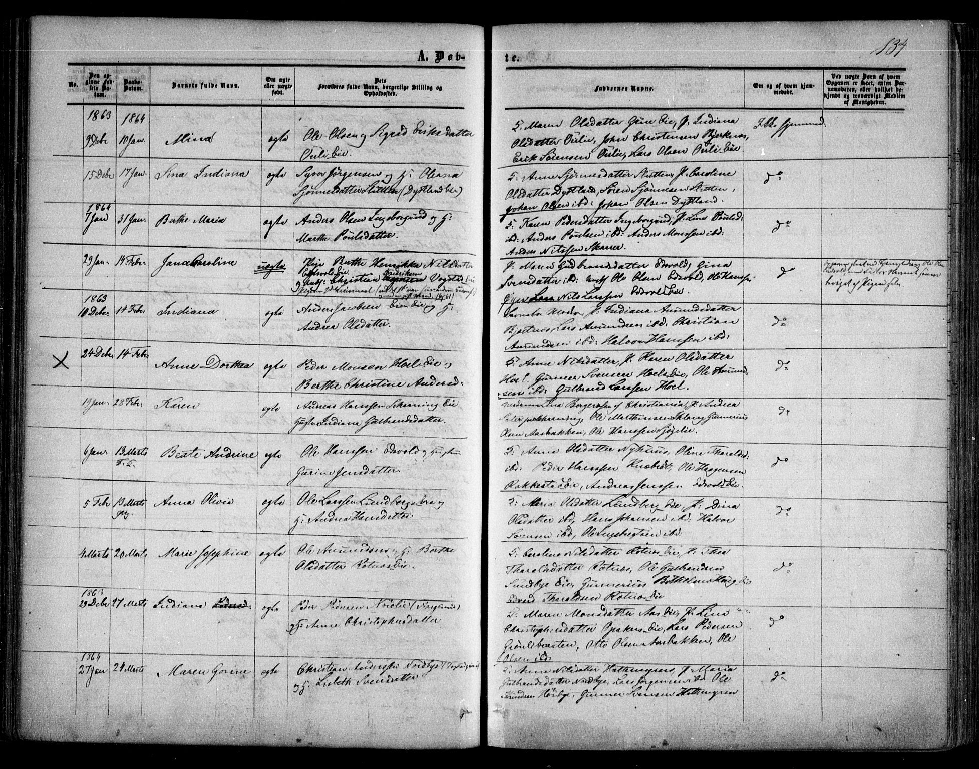 Nes prestekontor Kirkebøker, AV/SAO-A-10410/F/Fa/L0008: Parish register (official) no. I 8, 1859-1874, p. 134