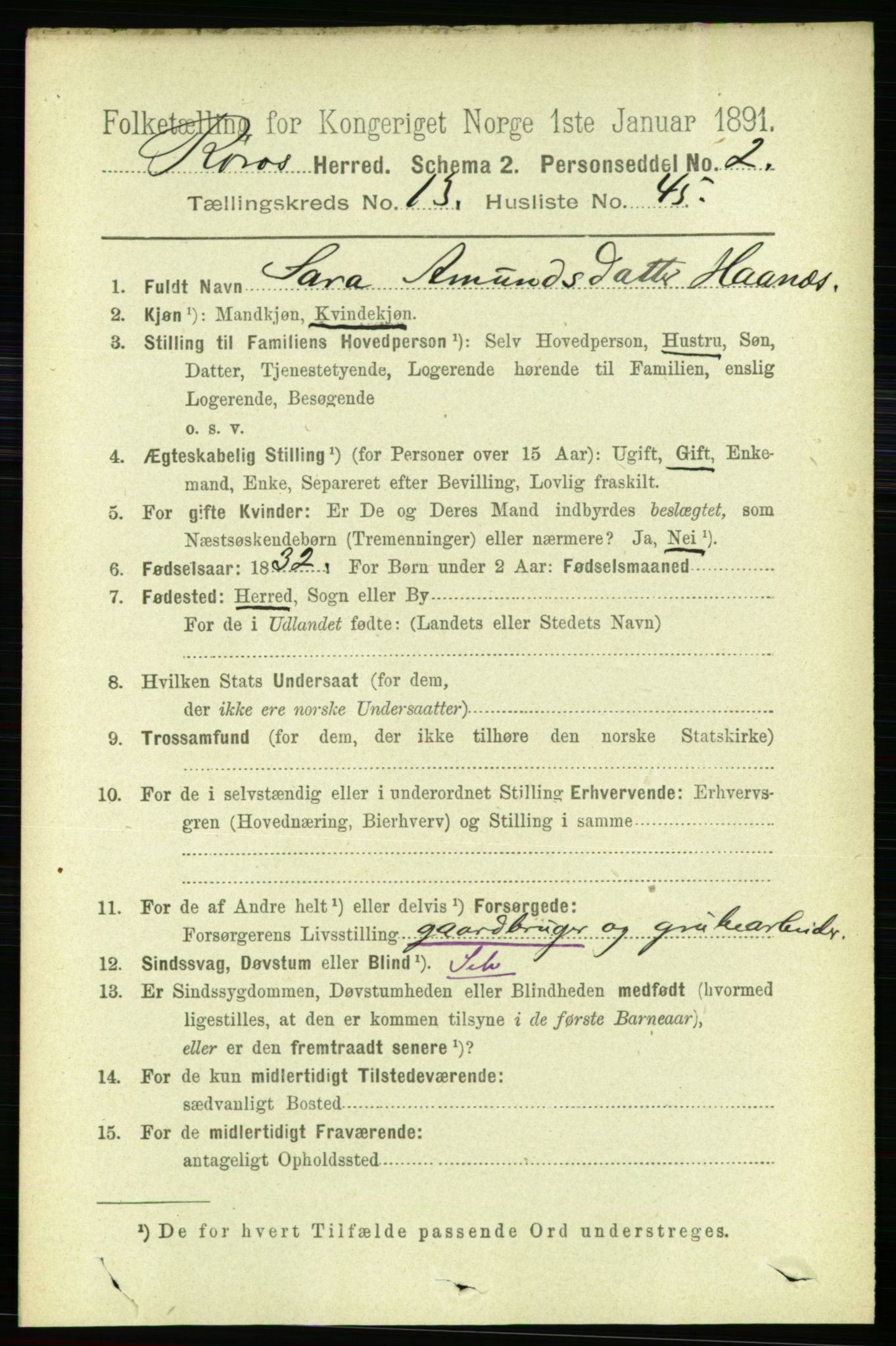 RA, 1891 census for 1640 Røros, 1891, p. 2791