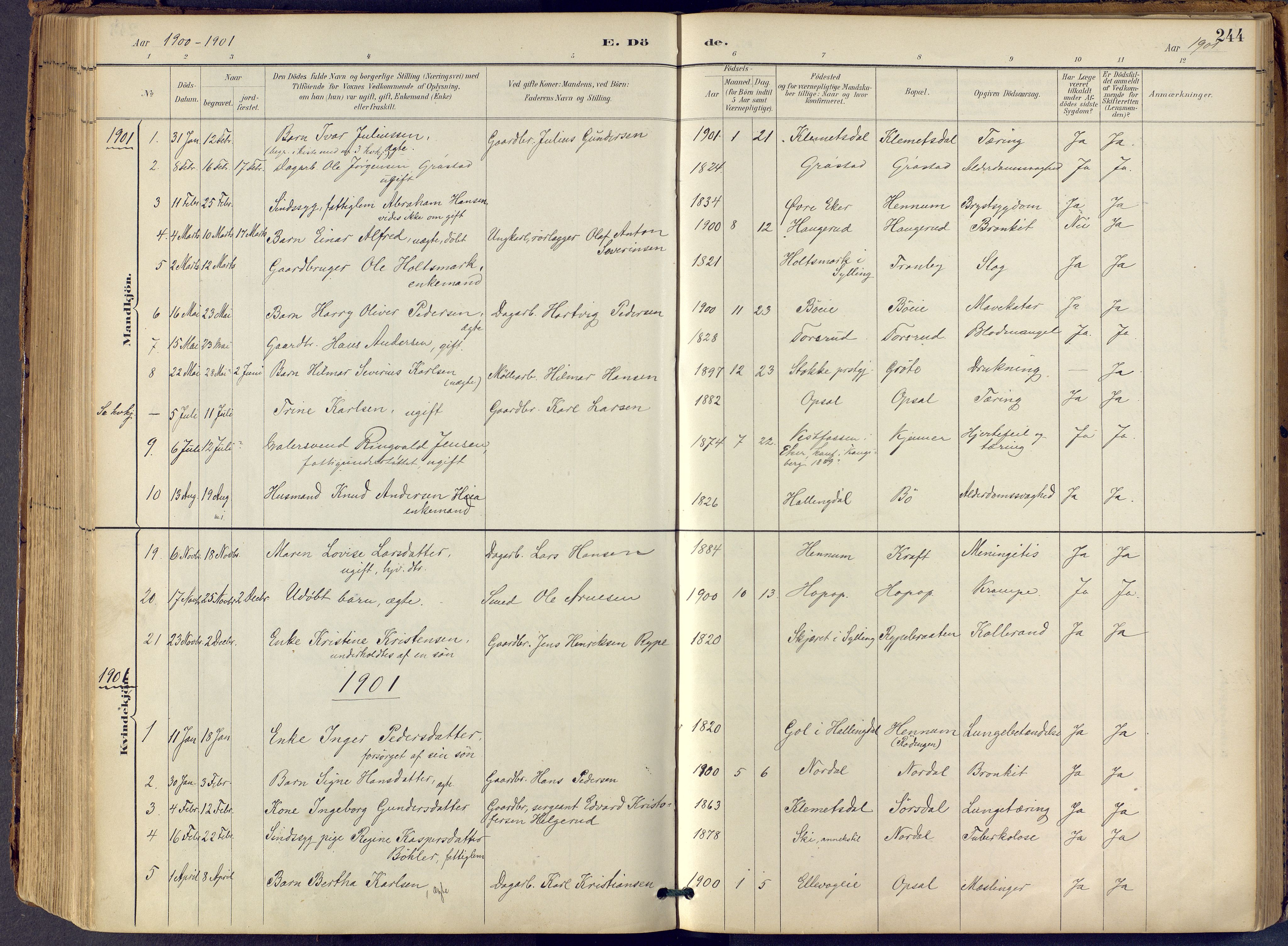 Lier kirkebøker, SAKO/A-230/F/Fb/L0001: Parish register (official) no. II 1, 1883-1910, p. 244