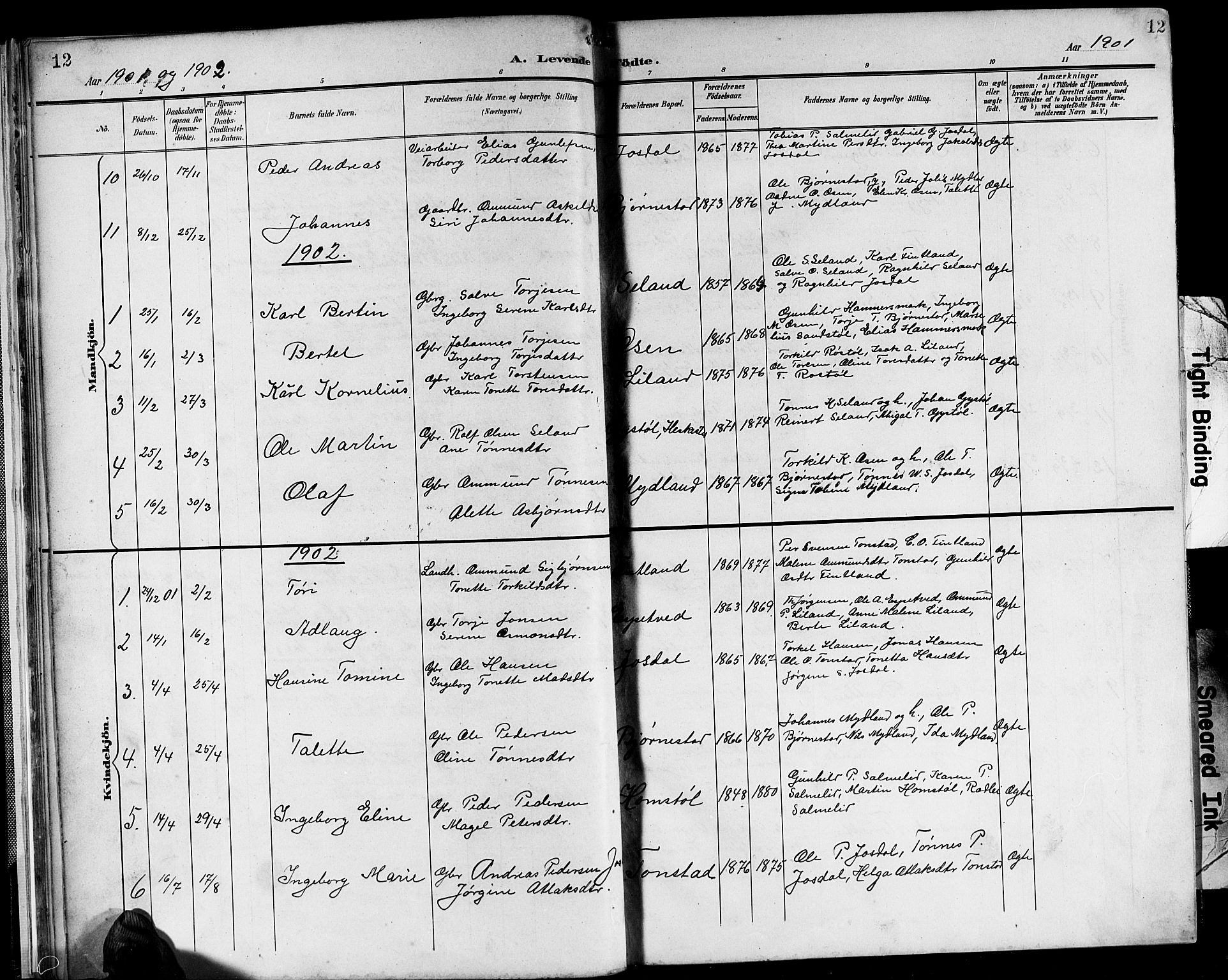 Sirdal sokneprestkontor, AV/SAK-1111-0036/F/Fb/Fbb/L0004: Parish register (copy) no. B 4, 1895-1916, p. 12