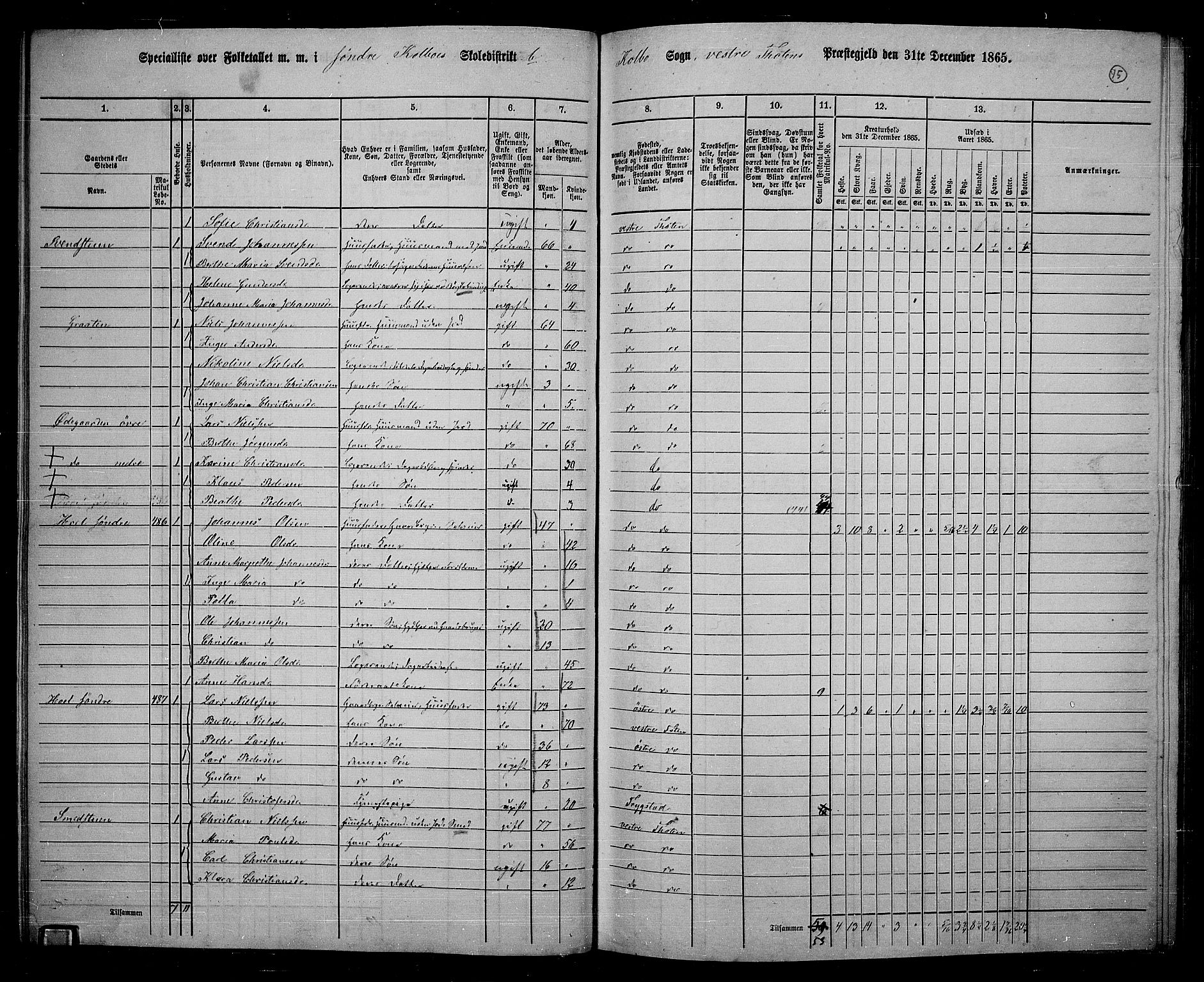 RA, 1865 census for Vestre Toten, 1865, p. 229