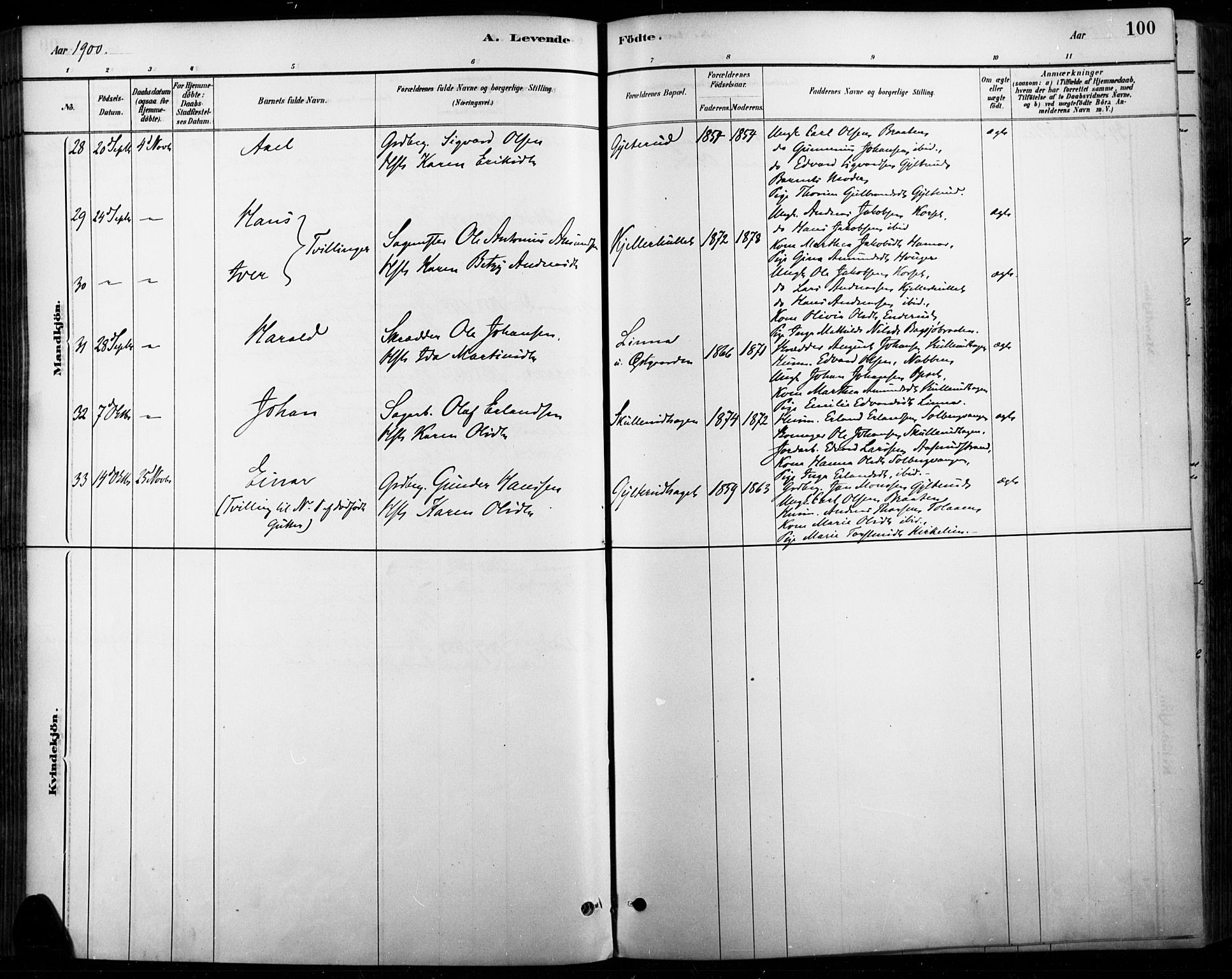 Vinger prestekontor, AV/SAH-PREST-024/H/Ha/Haa/L0015: Parish register (official) no. 15, 1881-1900, p. 100