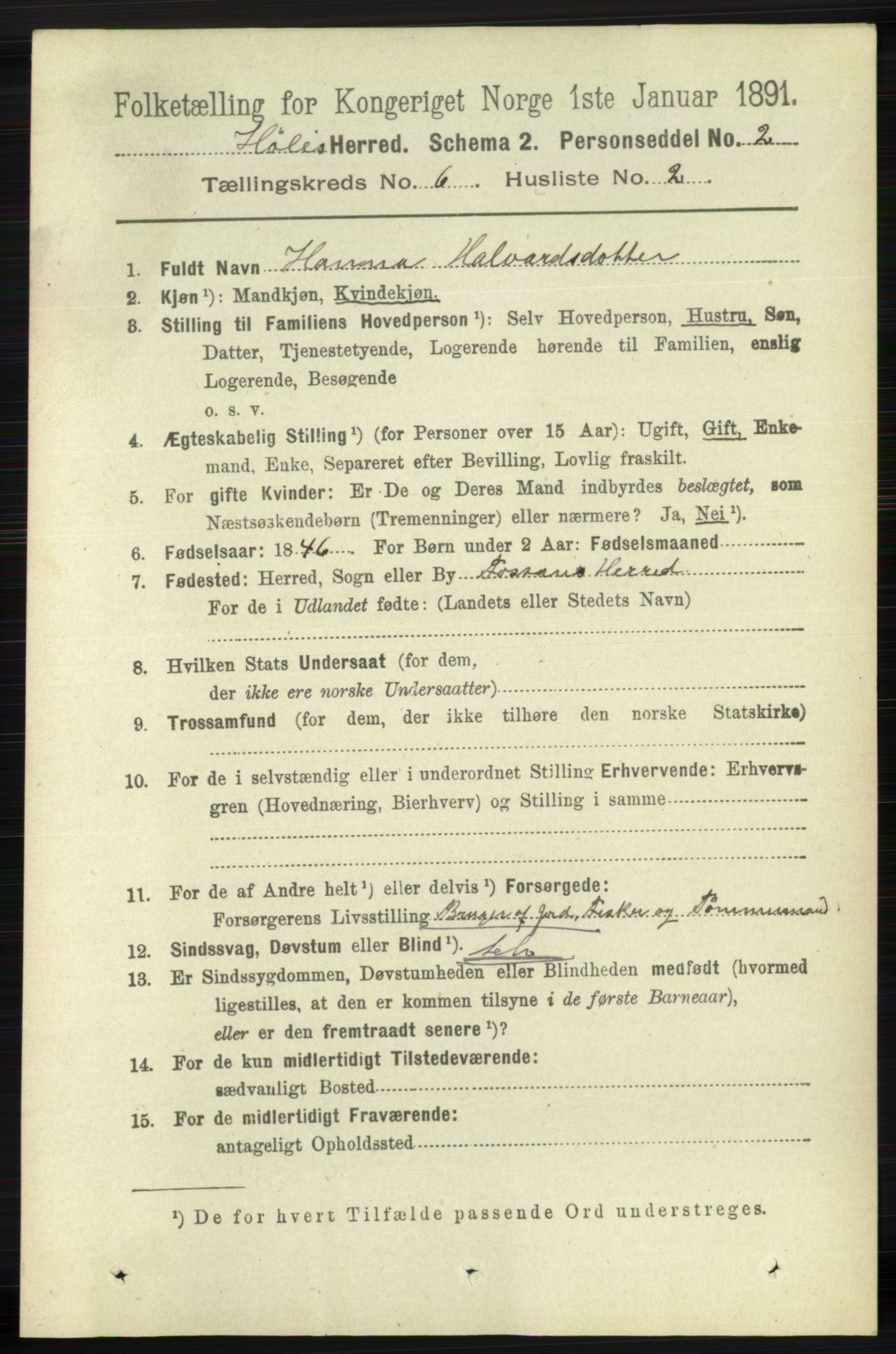 RA, 1891 census for 1128 Høle, 1891, p. 1299