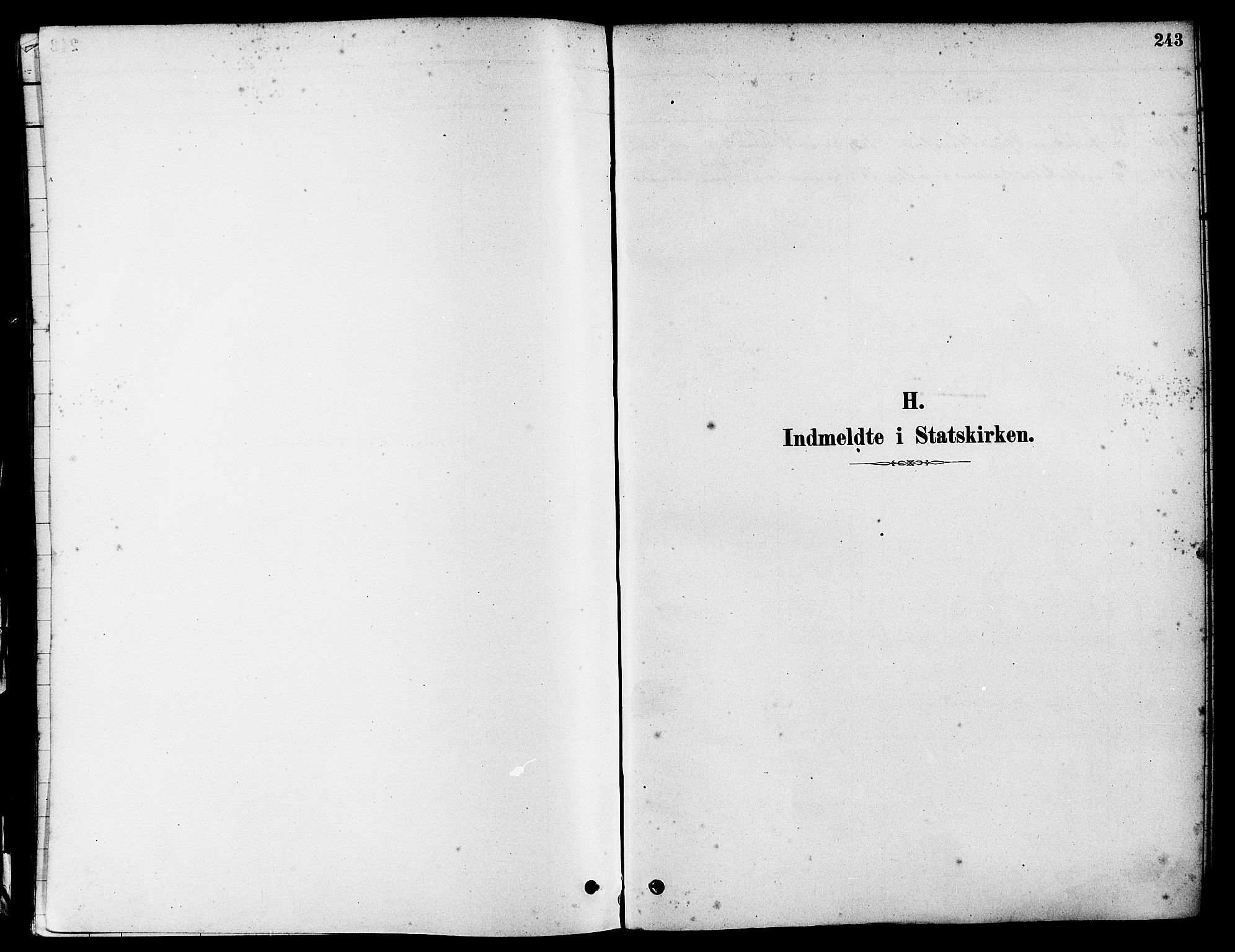 Eigersund sokneprestkontor, SAST/A-101807/S08/L0017: Parish register (official) no. A 14, 1879-1892, p. 243