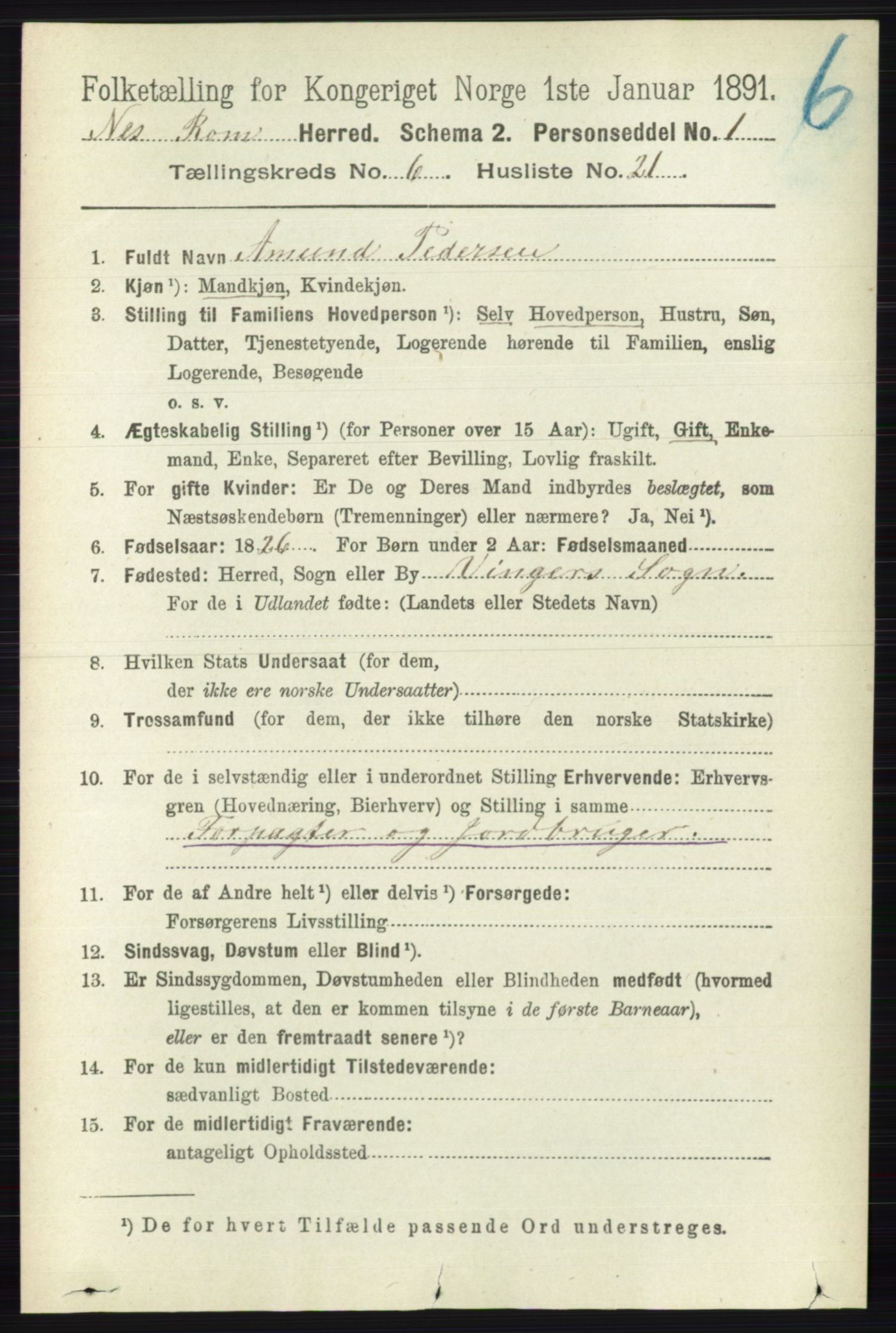 RA, 1891 census for 0236 Nes, 1891, p. 3499