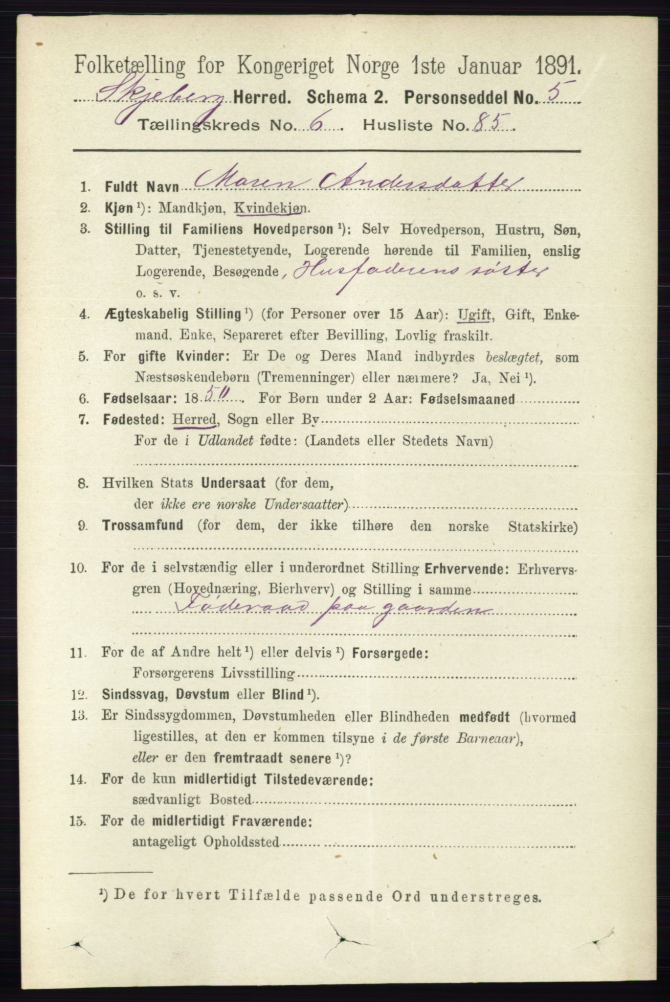 RA, 1891 census for 0115 Skjeberg, 1891, p. 3349