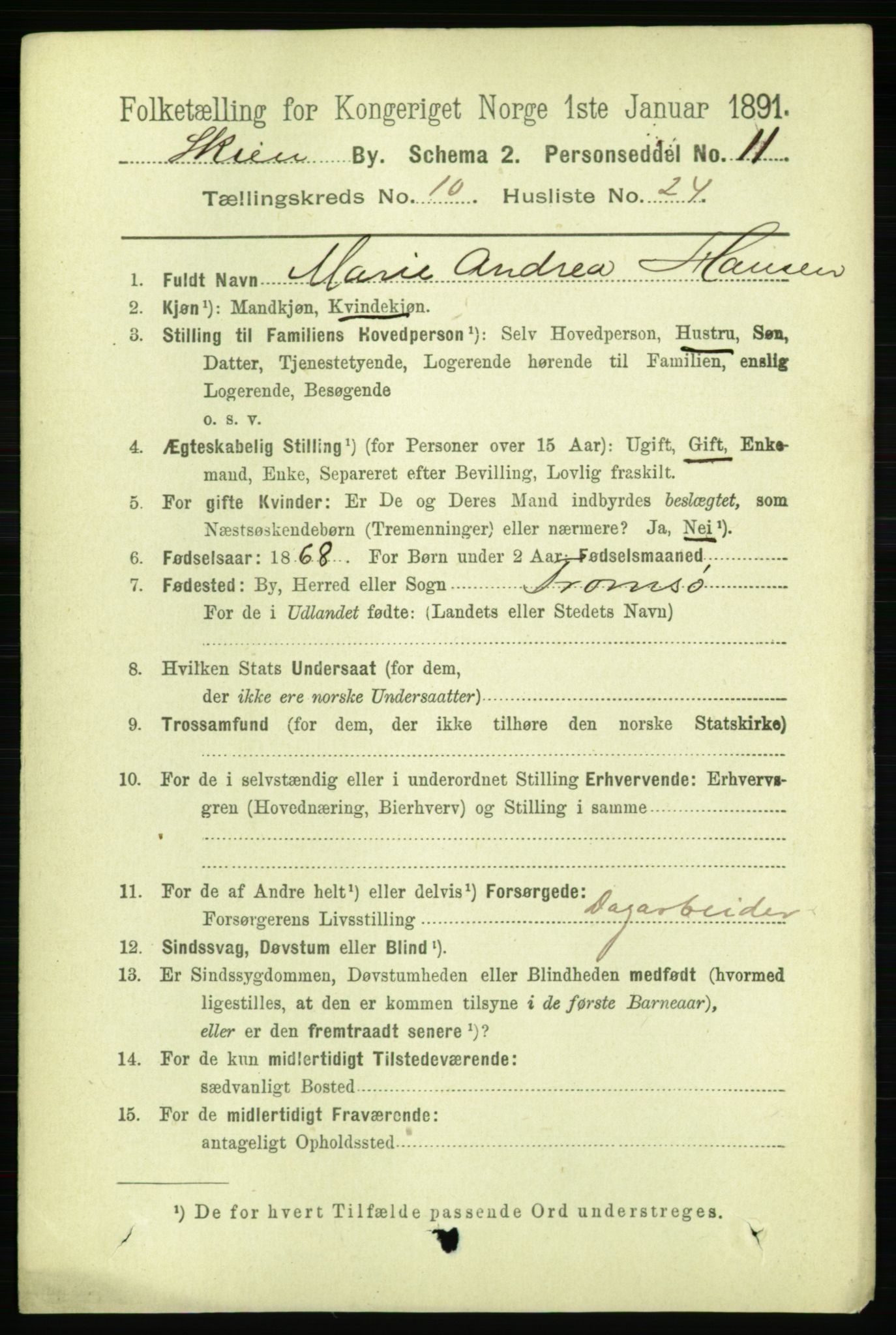 RA, 1891 census for 0806 Skien, 1891, p. 3850