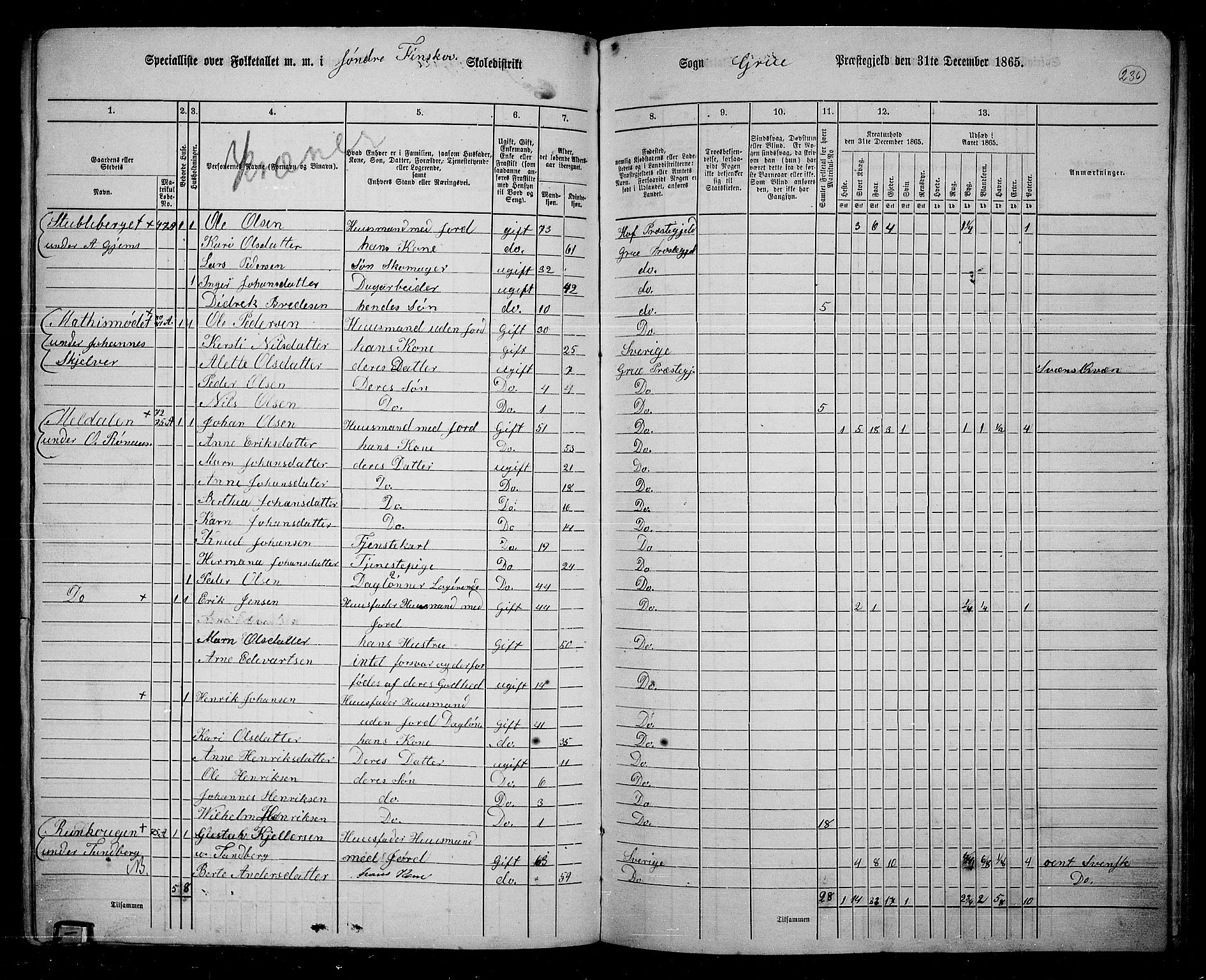 RA, 1865 census for Grue, 1865, p. 206