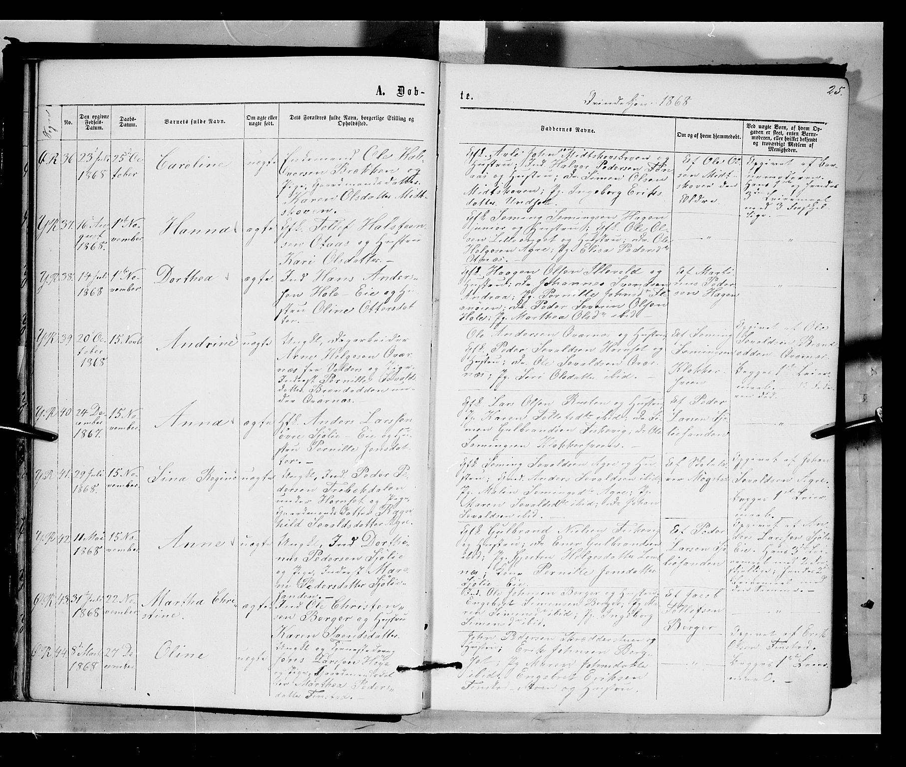 Rendalen prestekontor, AV/SAH-PREST-054/H/Ha/Haa/L0006: Parish register (official) no. 6, 1867-1877, p. 25