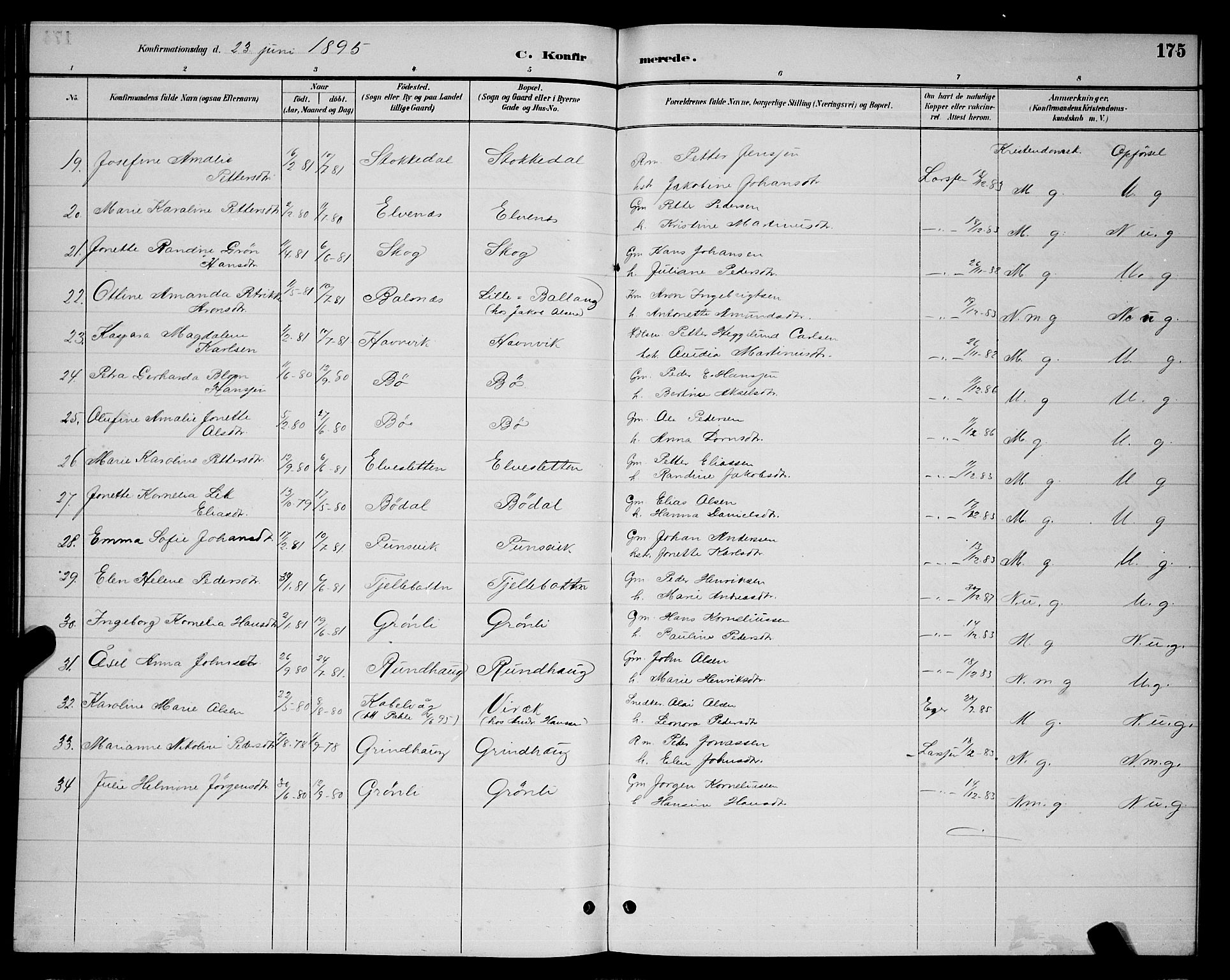 Ministerialprotokoller, klokkerbøker og fødselsregistre - Nordland, AV/SAT-A-1459/863/L0914: Parish register (copy) no. 863C04, 1886-1897, p. 175