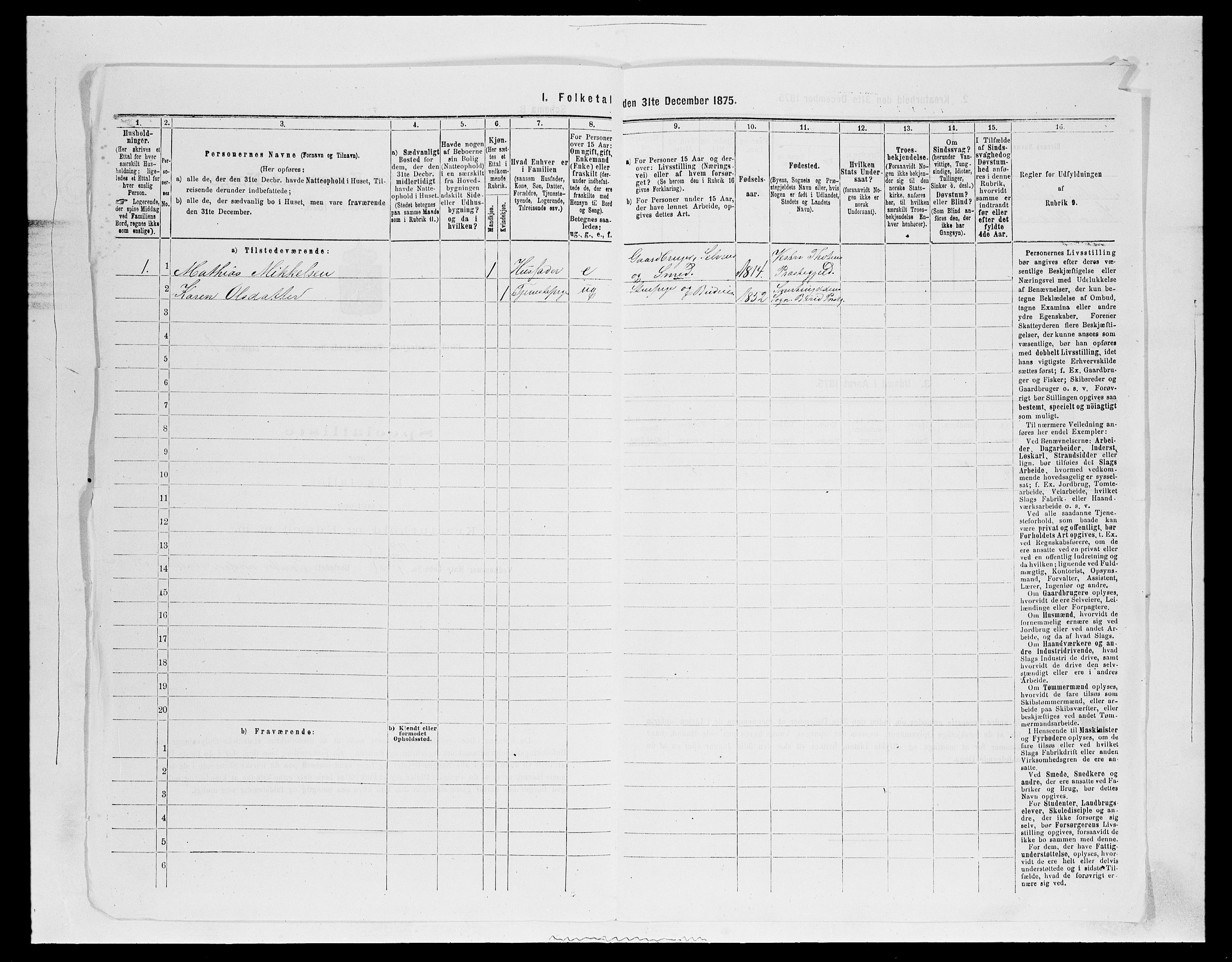 SAH, 1875 census for 0525P Biri, 1875, p. 1133