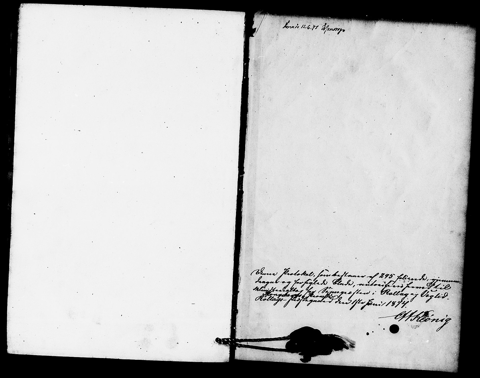 Rollag kirkebøker, AV/SAKO-A-240/F/Fa/L0010: Parish register (official) no. I 10, 1874-1877