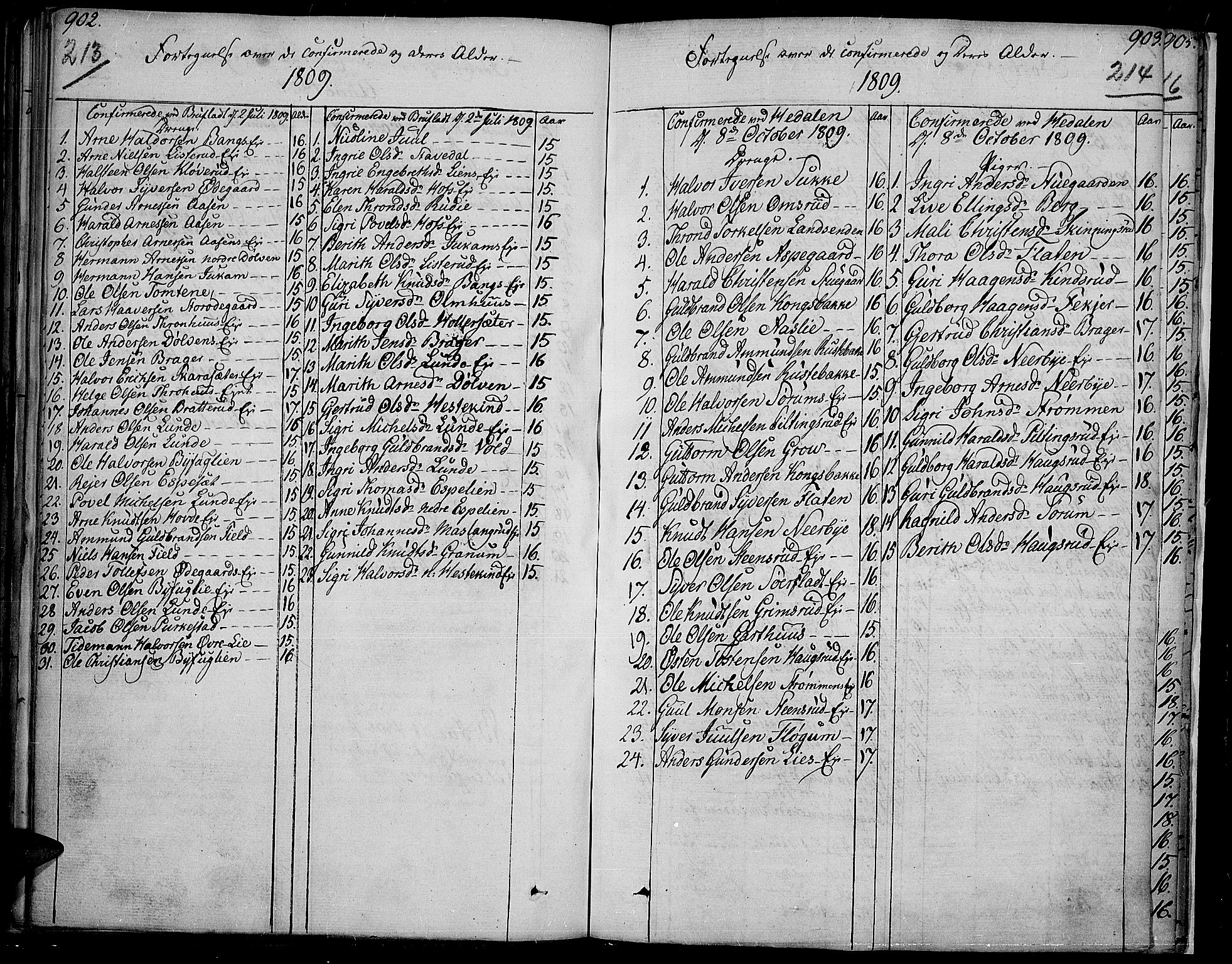 Sør-Aurdal prestekontor, SAH/PREST-128/H/Ha/Haa/L0001: Parish register (official) no. 1, 1807-1815, p. 213-214
