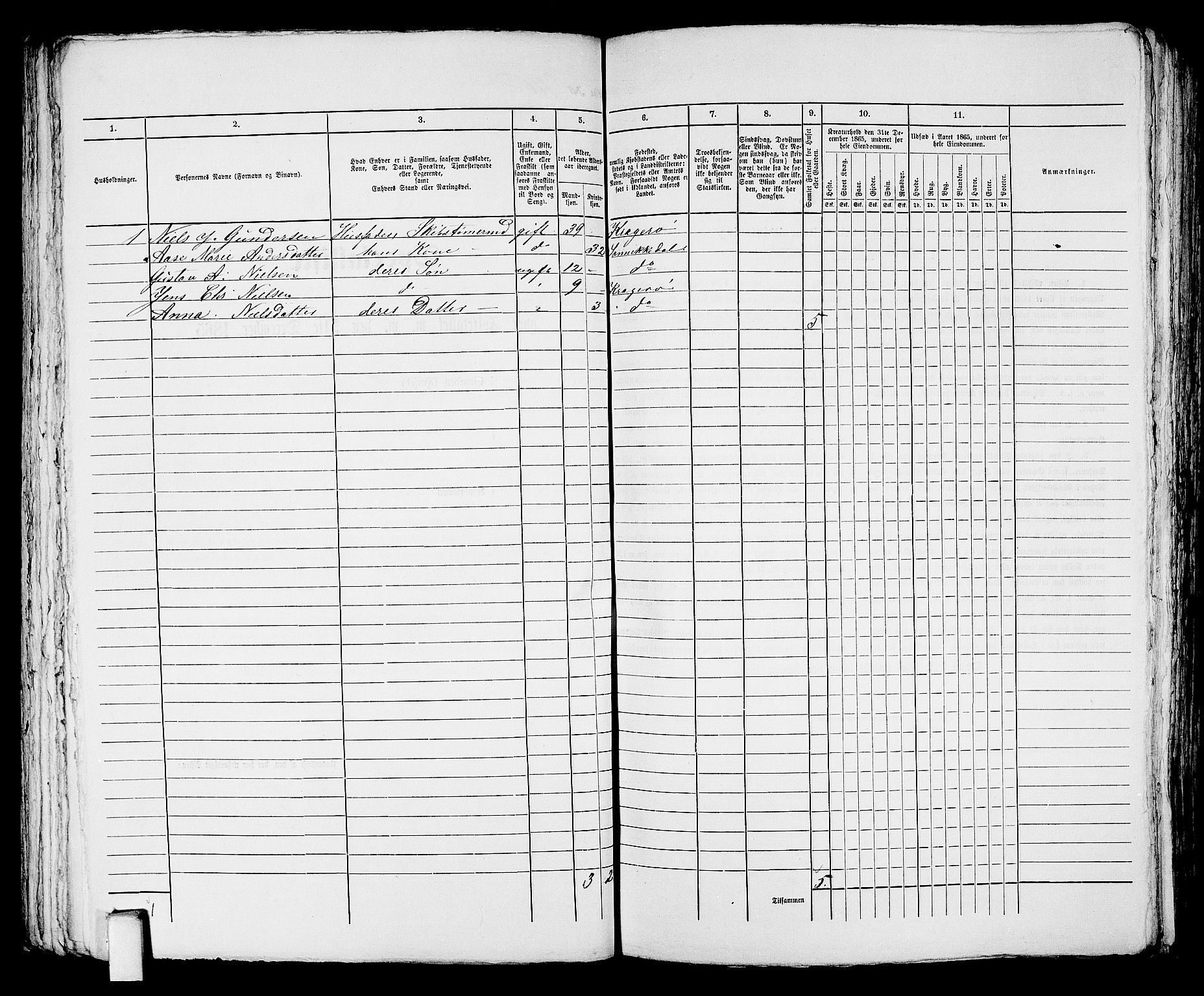 RA, 1865 census for Kragerø/Kragerø, 1865, p. 242