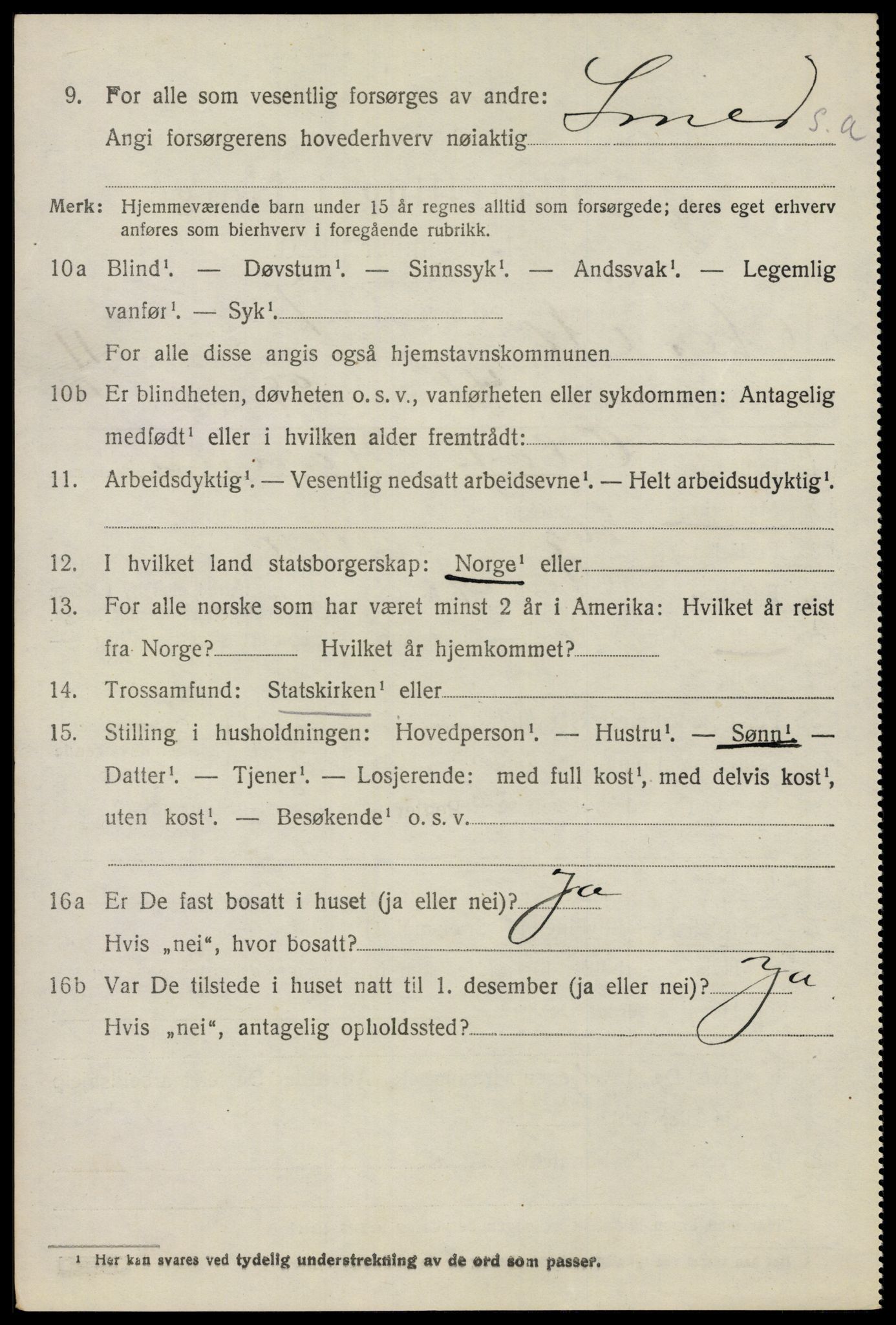 SAO, 1920 census for Nes, 1920, p. 11935