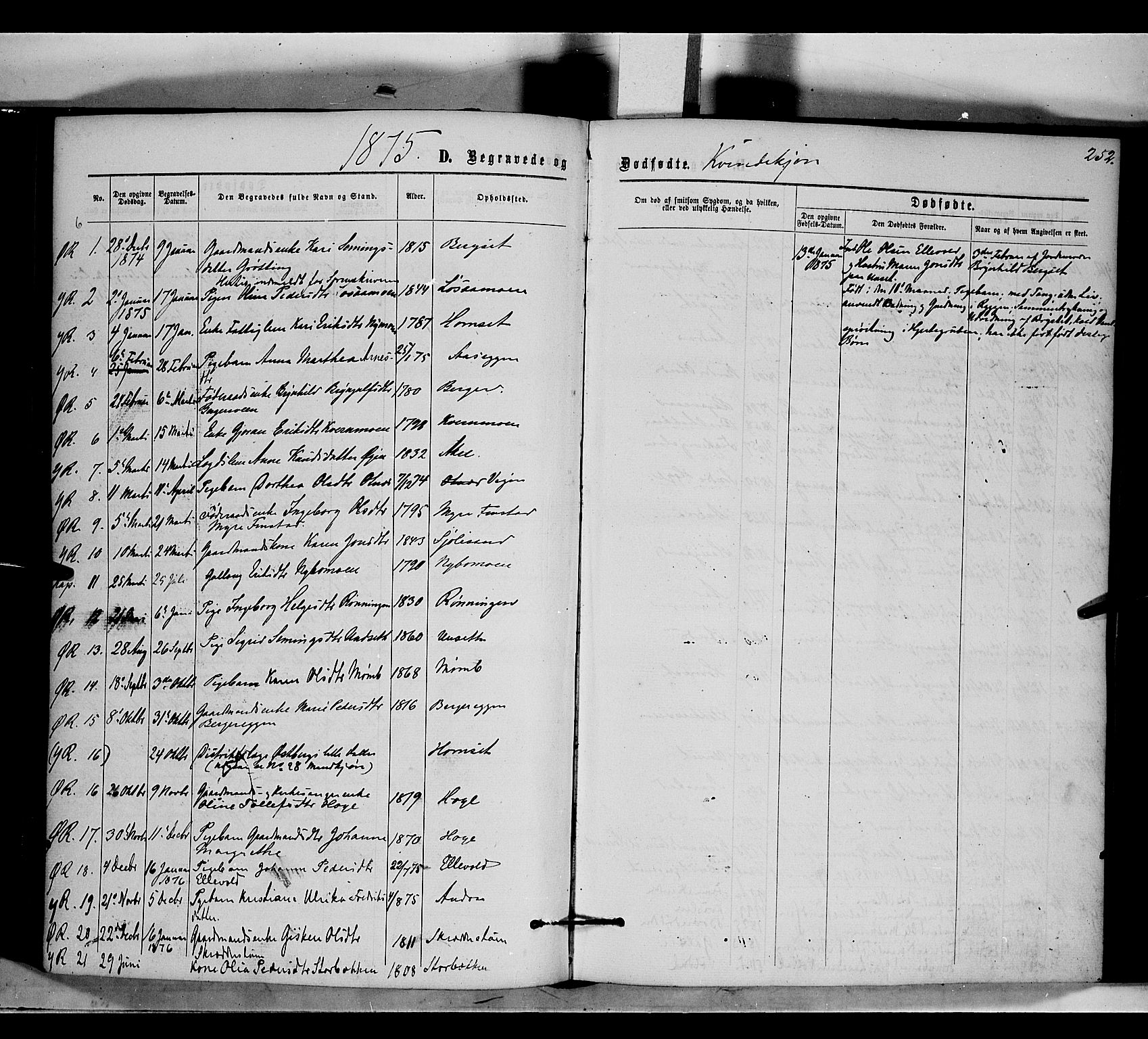 Rendalen prestekontor, AV/SAH-PREST-054/H/Ha/Haa/L0006: Parish register (official) no. 6, 1867-1877, p. 252