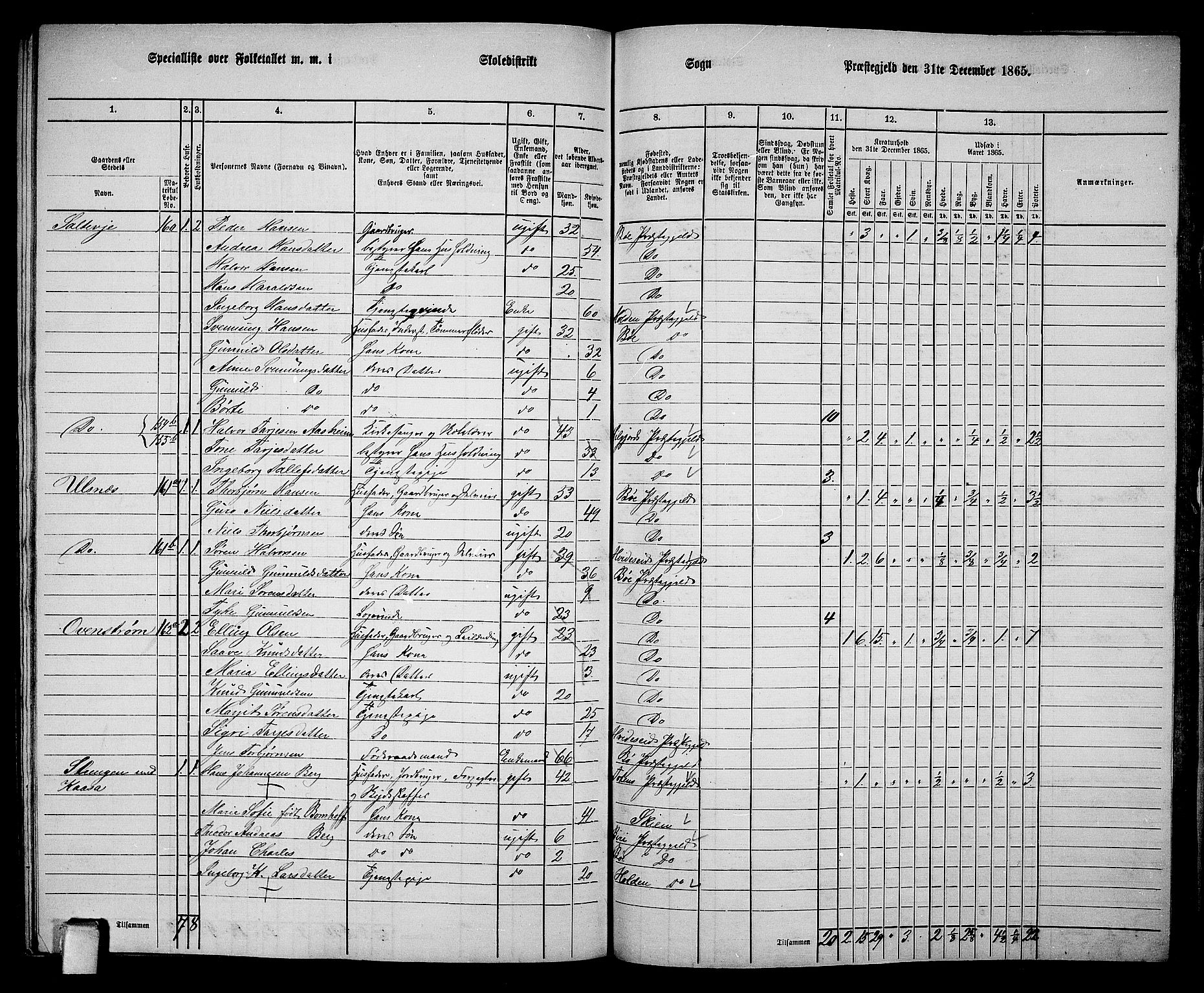 RA, 1865 census for Bø, 1865, p. 207