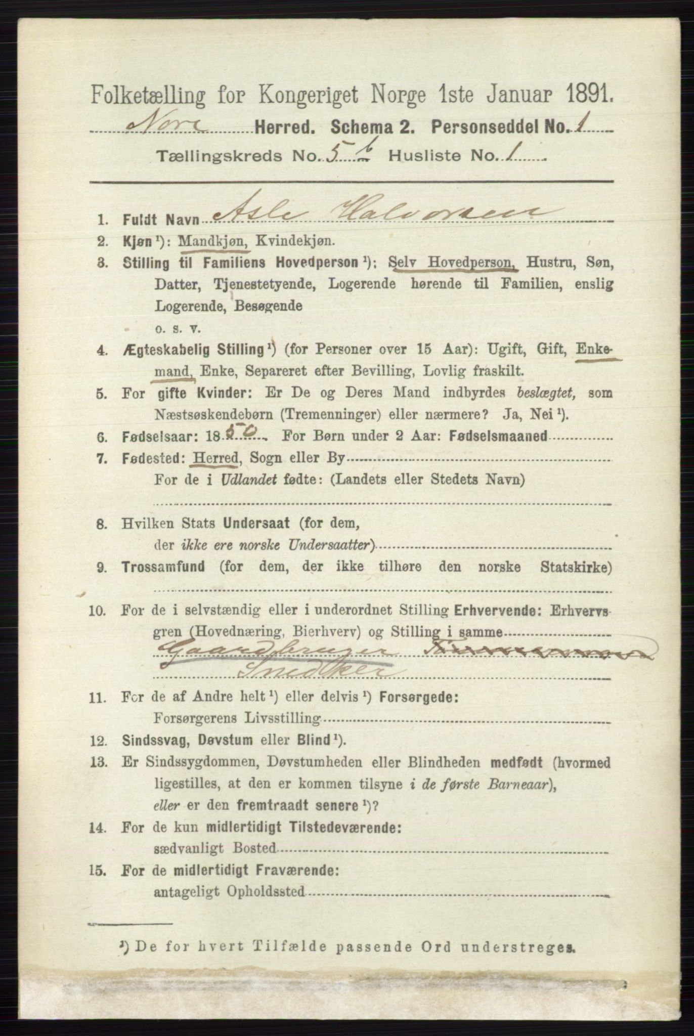 RA, 1891 census for 0633 Nore, 1891, p. 1778