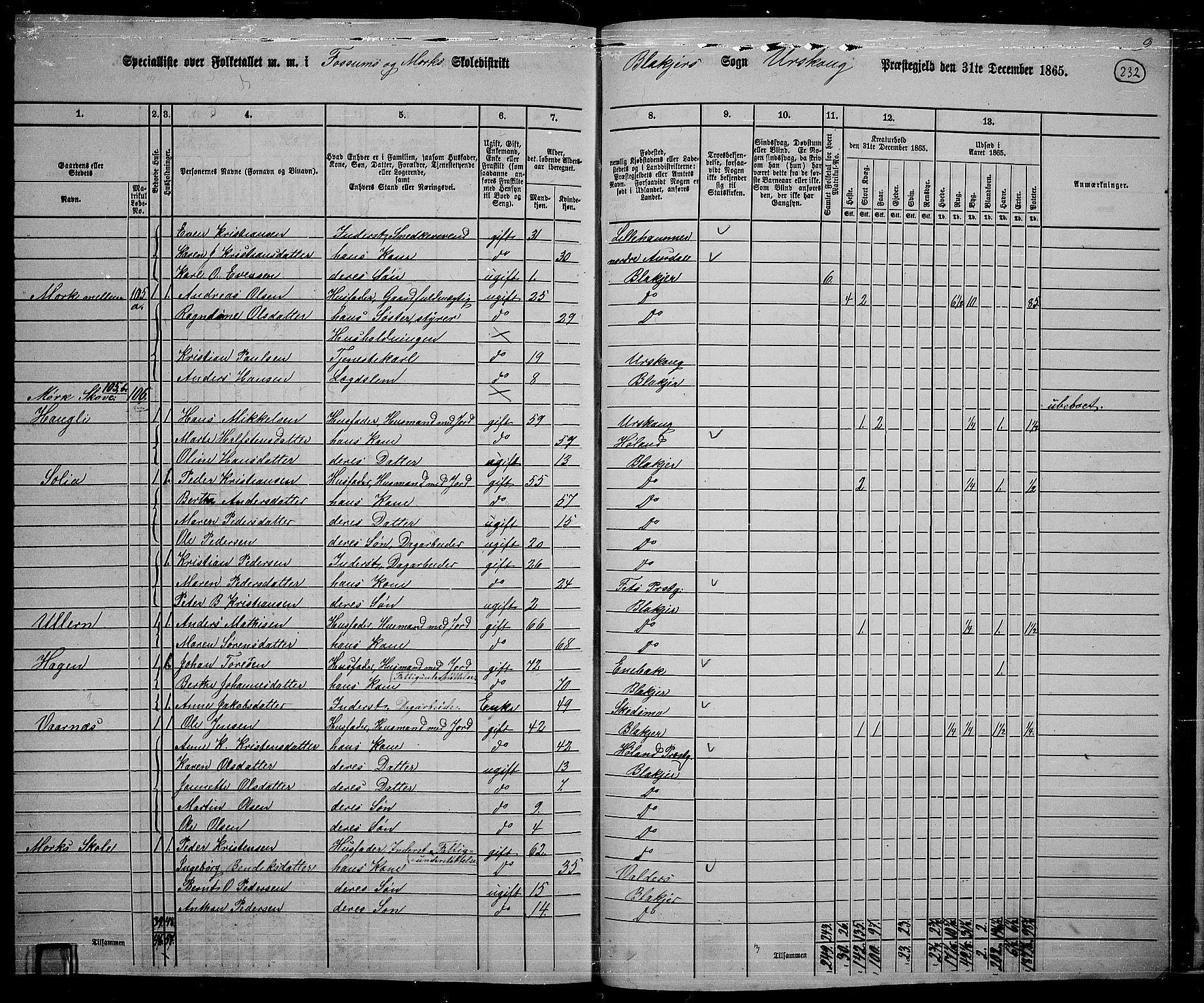 RA, 1865 census for Aurskog, 1865, p. 210