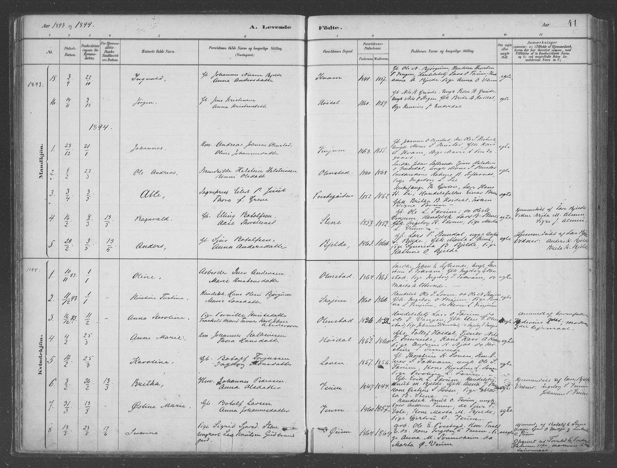 Aurland sokneprestembete, SAB/A-99937/H/Ha/Hab/L0001: Parish register (official) no. B  1, 1880-1909, p. 41