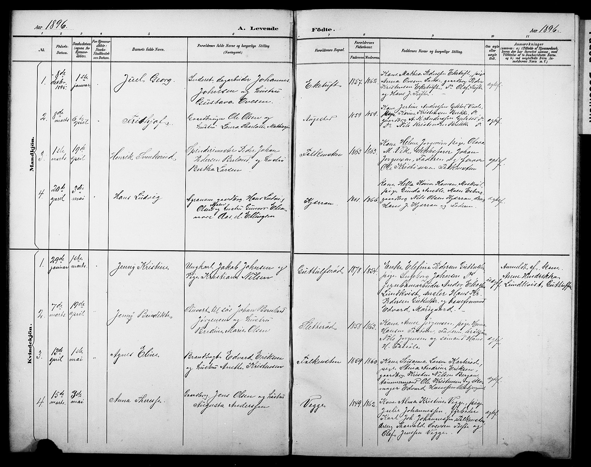 Borre kirkebøker, AV/SAKO-A-338/G/Gb/L0003: Parish register (copy) no. II 3, 1893-1905