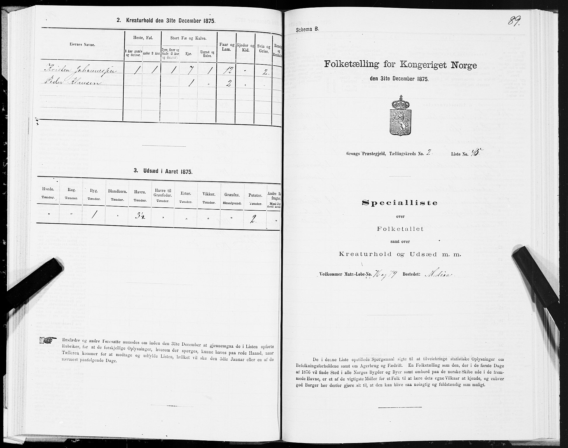 SAT, 1875 census for 1742P Grong, 1875, p. 2089