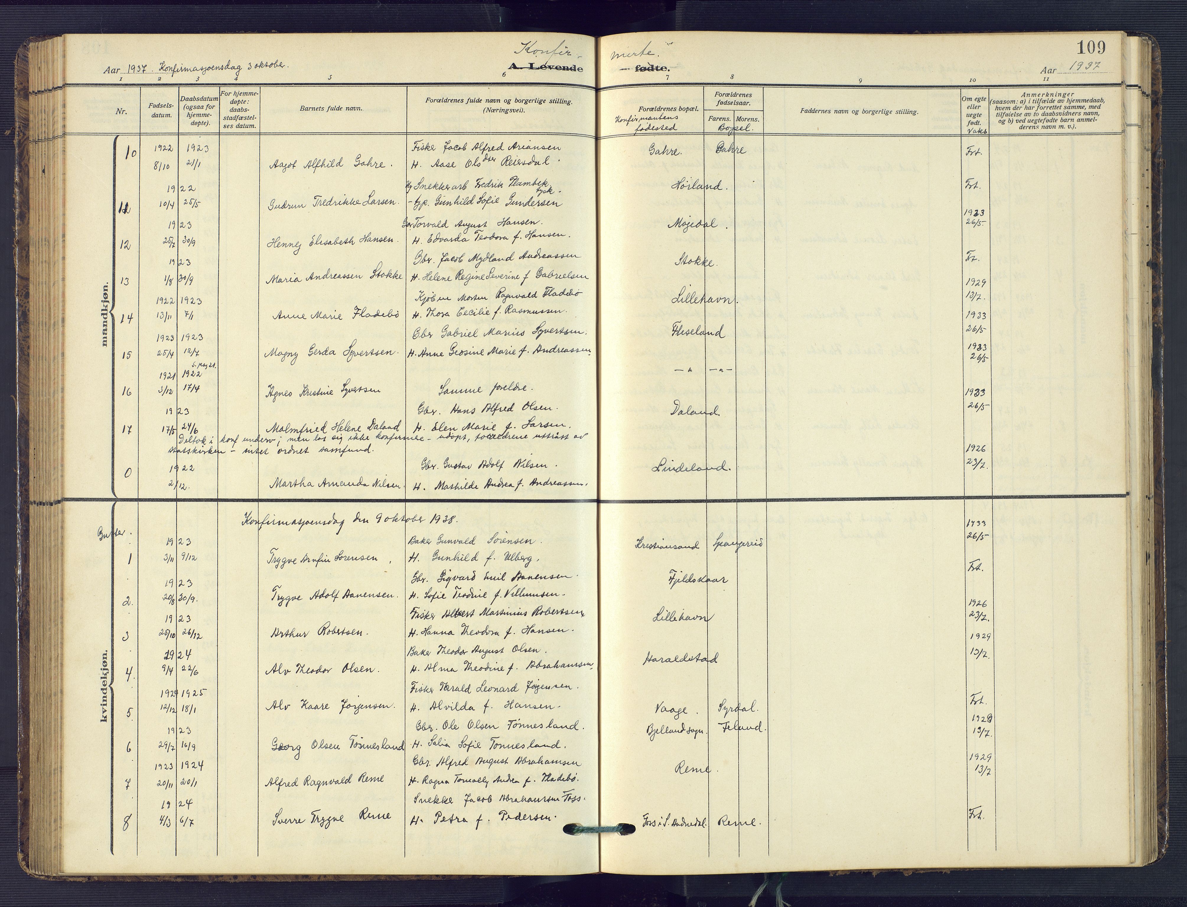 Sør-Audnedal sokneprestkontor, AV/SAK-1111-0039/F/Fb/Fba/L0005: Parish register (copy) no. B 5, 1908-1963, p. 109