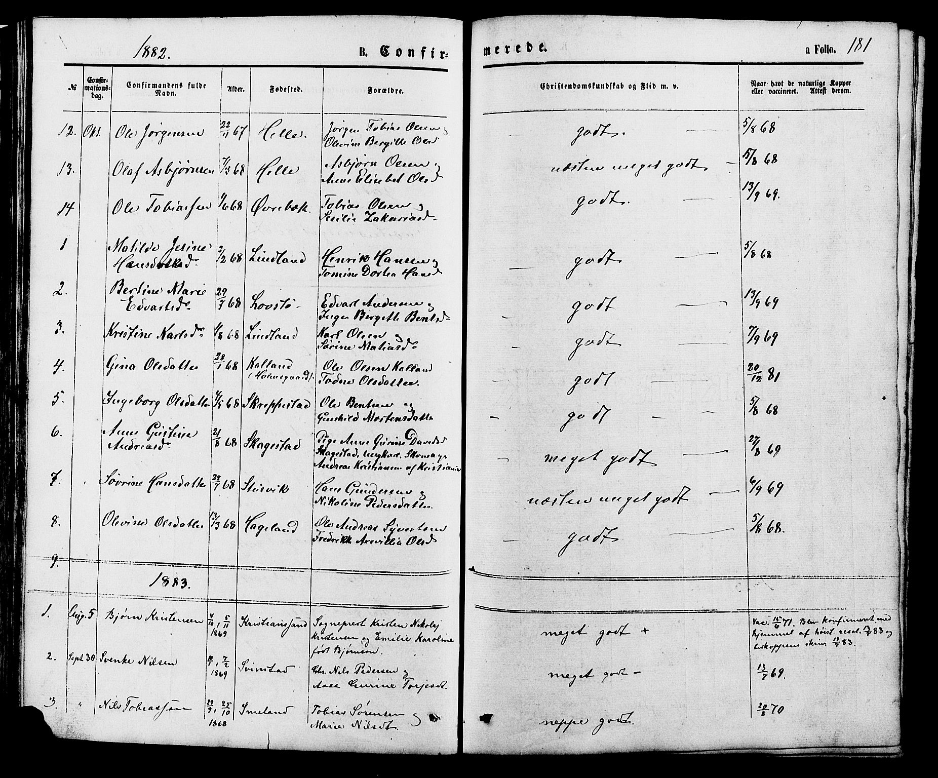 Holum sokneprestkontor, AV/SAK-1111-0022/F/Fb/Fba/L0004: Parish register (copy) no. B 4, 1867-1890, p. 181