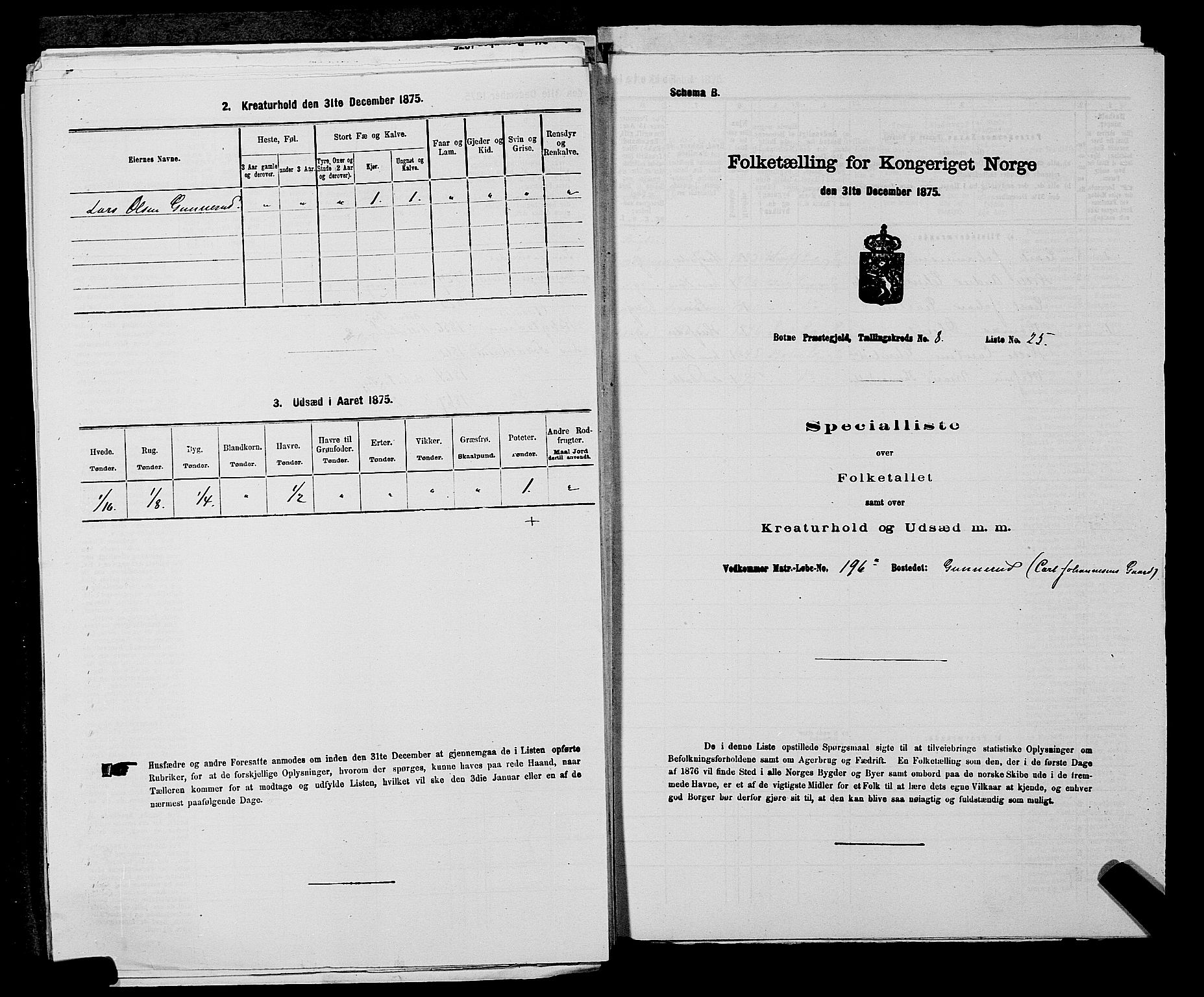 SAKO, 1875 census for 0715P Botne, 1875, p. 685