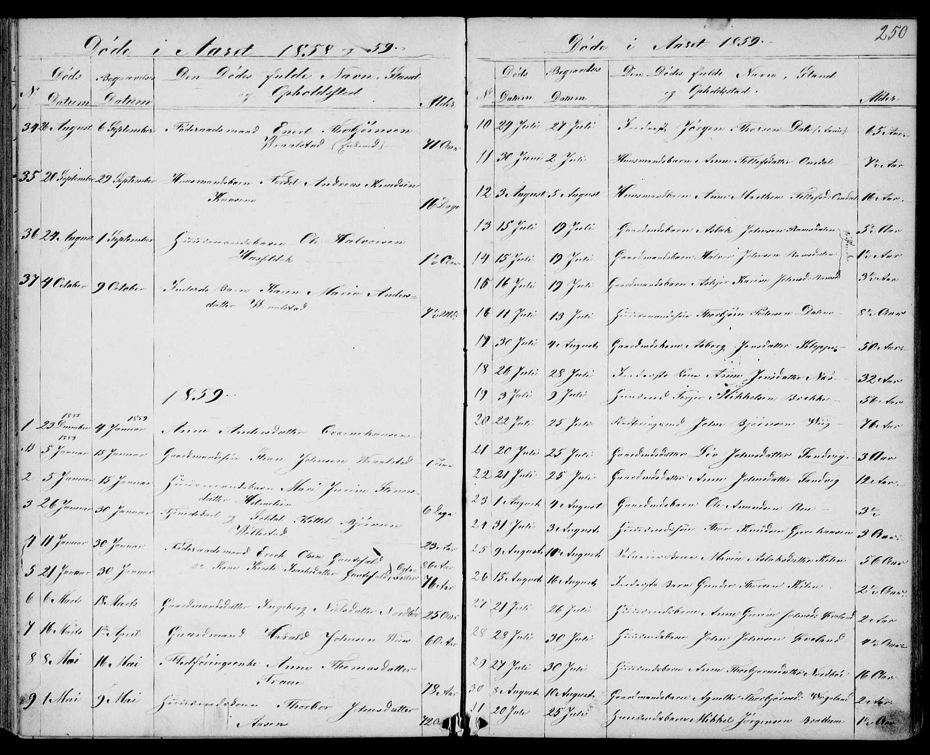 Drangedal kirkebøker, SAKO/A-258/G/Gb/L0001: Parish register (copy) no. II 1, 1856-1894, p. 250