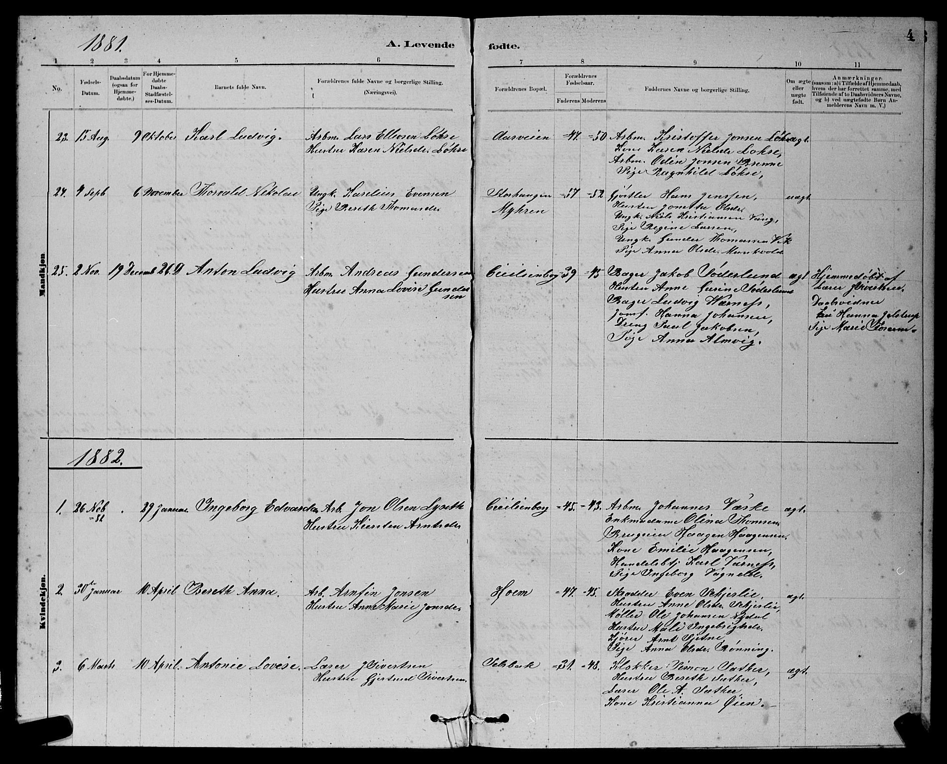 Ministerialprotokoller, klokkerbøker og fødselsregistre - Sør-Trøndelag, AV/SAT-A-1456/611/L0354: Parish register (copy) no. 611C02, 1881-1896, p. 4
