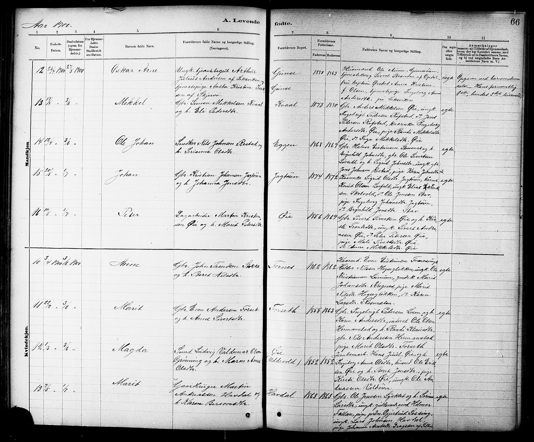 Ministerialprotokoller, klokkerbøker og fødselsregistre - Sør-Trøndelag, AV/SAT-A-1456/691/L1094: Parish register (copy) no. 691C05, 1879-1911, p. 66