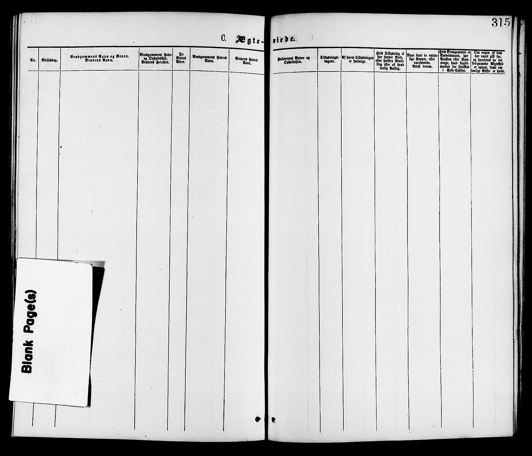 Gransherad kirkebøker, SAKO/A-267/F/Fa/L0004: Parish register (official) no. I 4, 1871-1886, p. 315