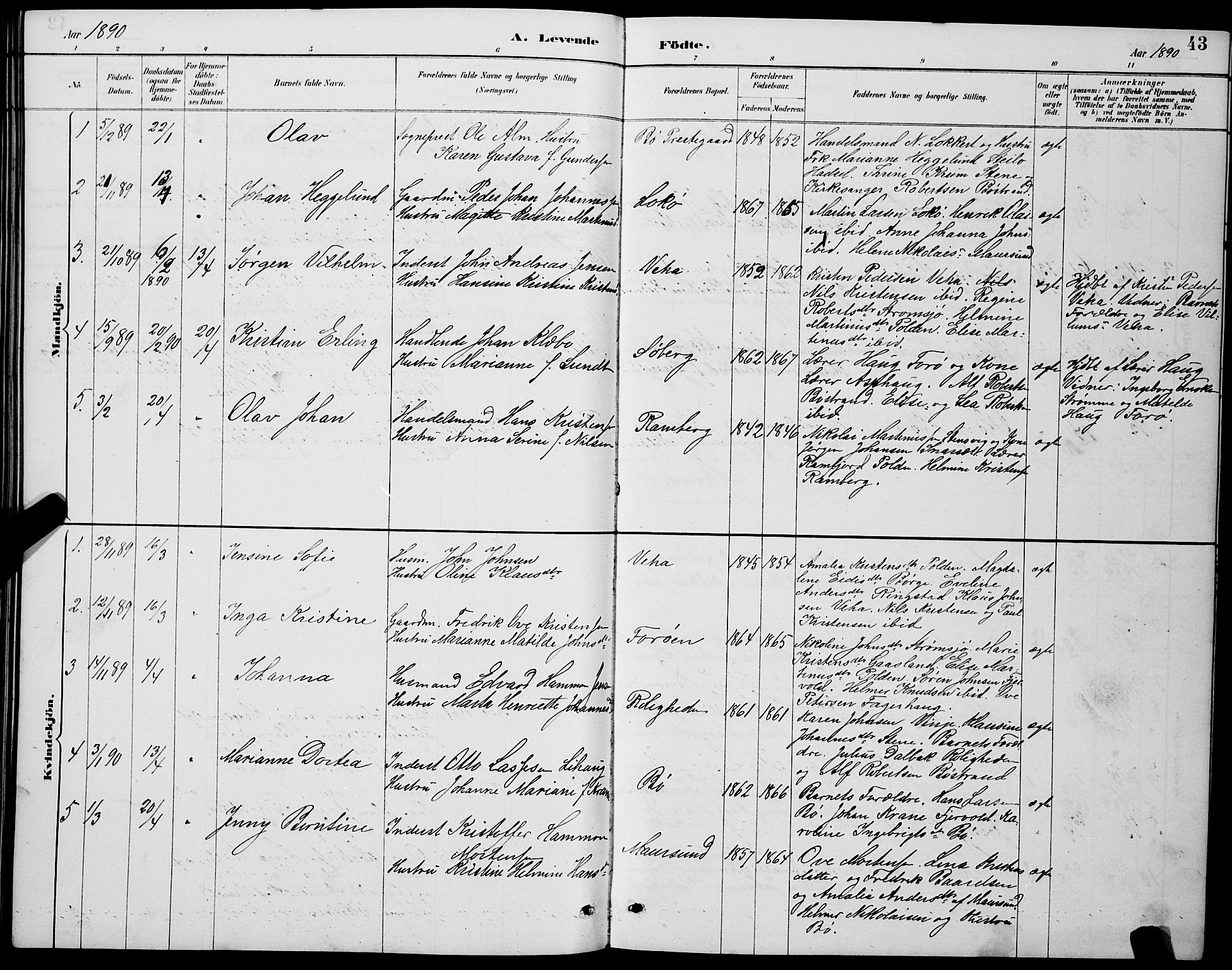 Ministerialprotokoller, klokkerbøker og fødselsregistre - Nordland, AV/SAT-A-1459/891/L1315: Parish register (copy) no. 891C04, 1886-1893, p. 43