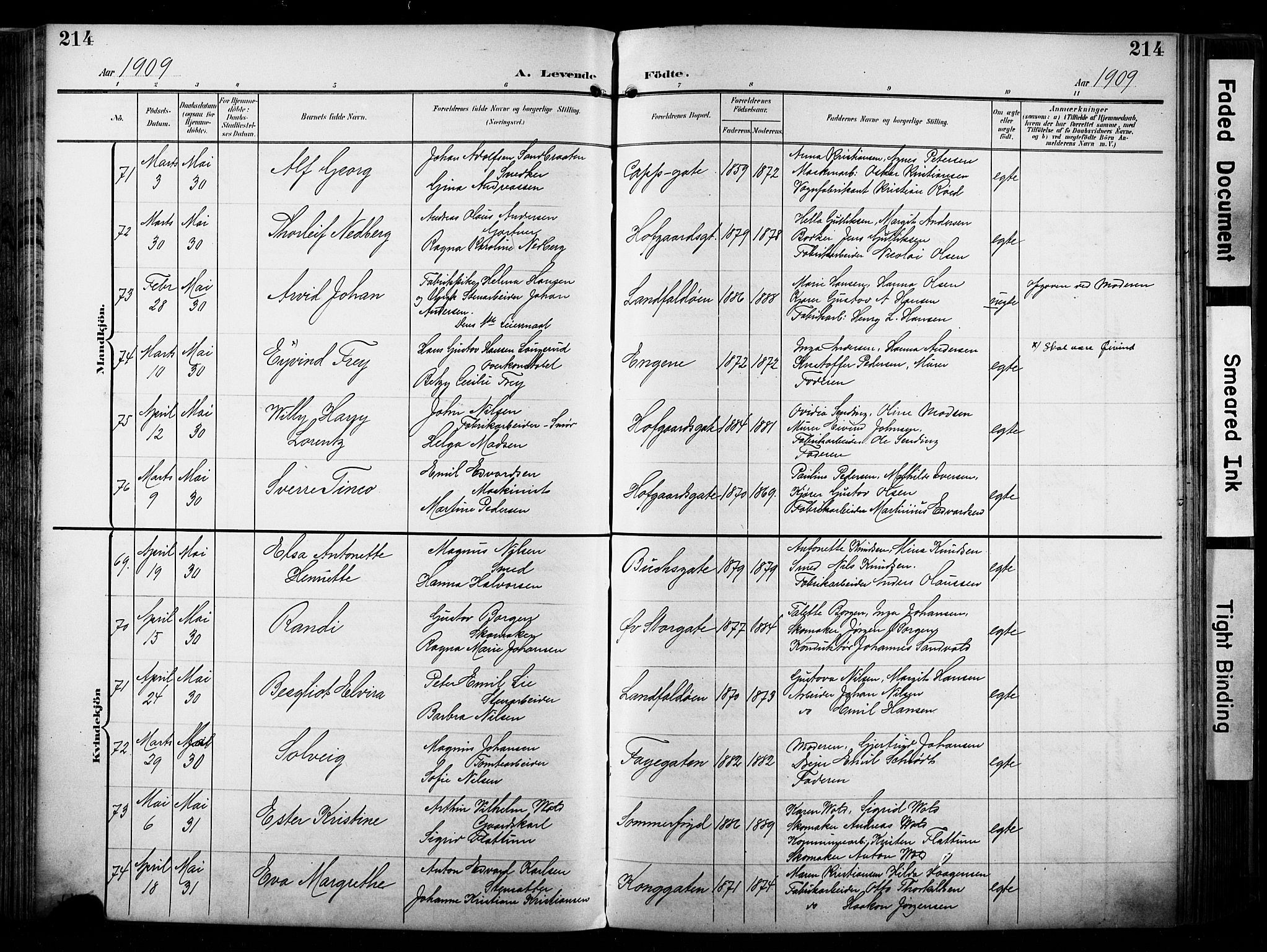 Bragernes kirkebøker, AV/SAKO-A-6/F/Fb/L0009: Parish register (official) no. II 9, 1902-1911, p. 214