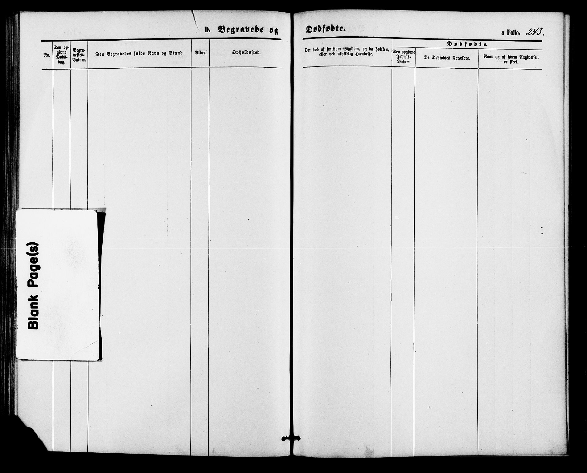 Bakke sokneprestkontor, SAK/1111-0002/F/Fa/Faa/L0007: Parish register (official) no. A 7, 1877-1886, p. 243