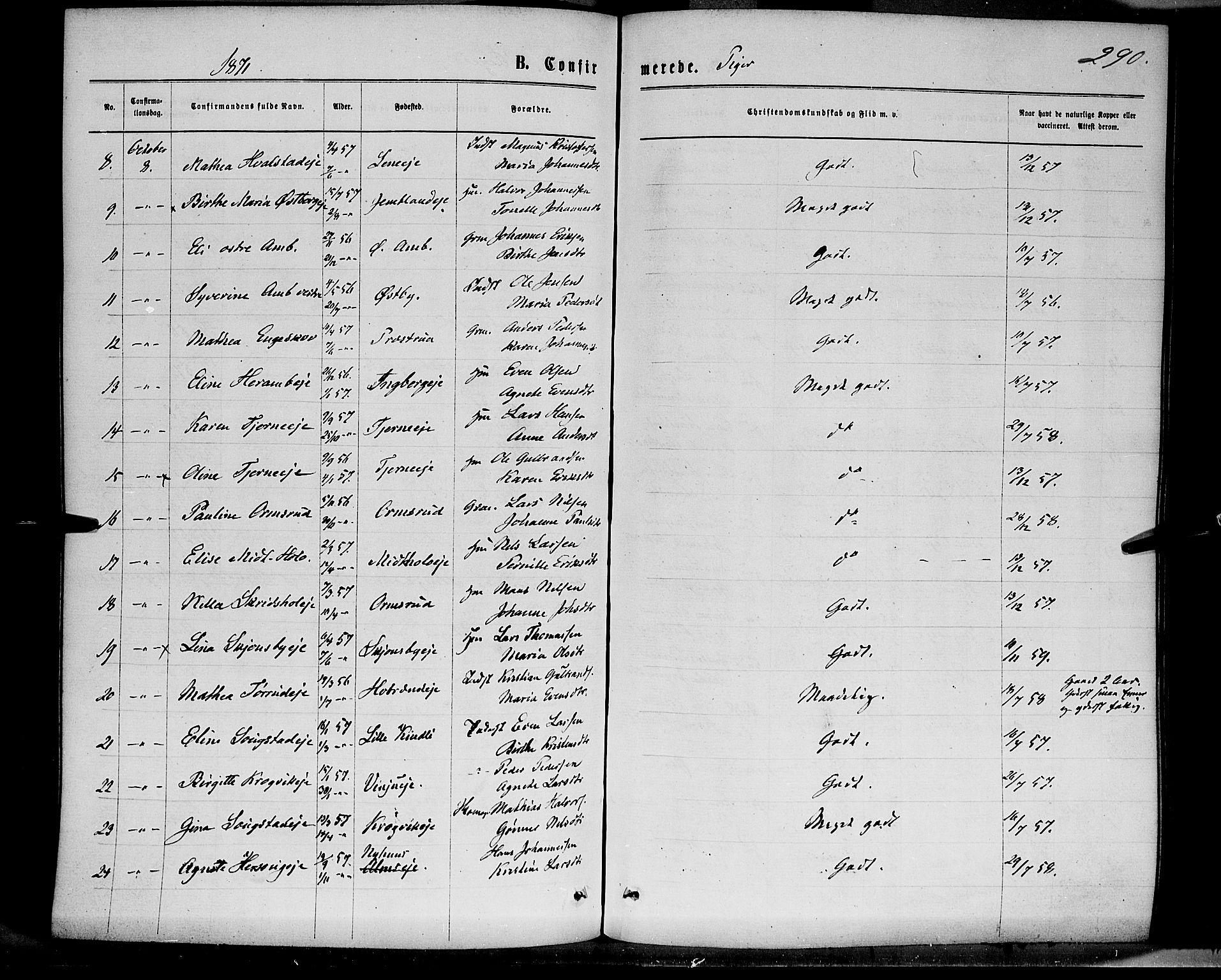 Ringsaker prestekontor, SAH/PREST-014/K/Ka/L0011: Parish register (official) no. 11, 1870-1878, p. 290