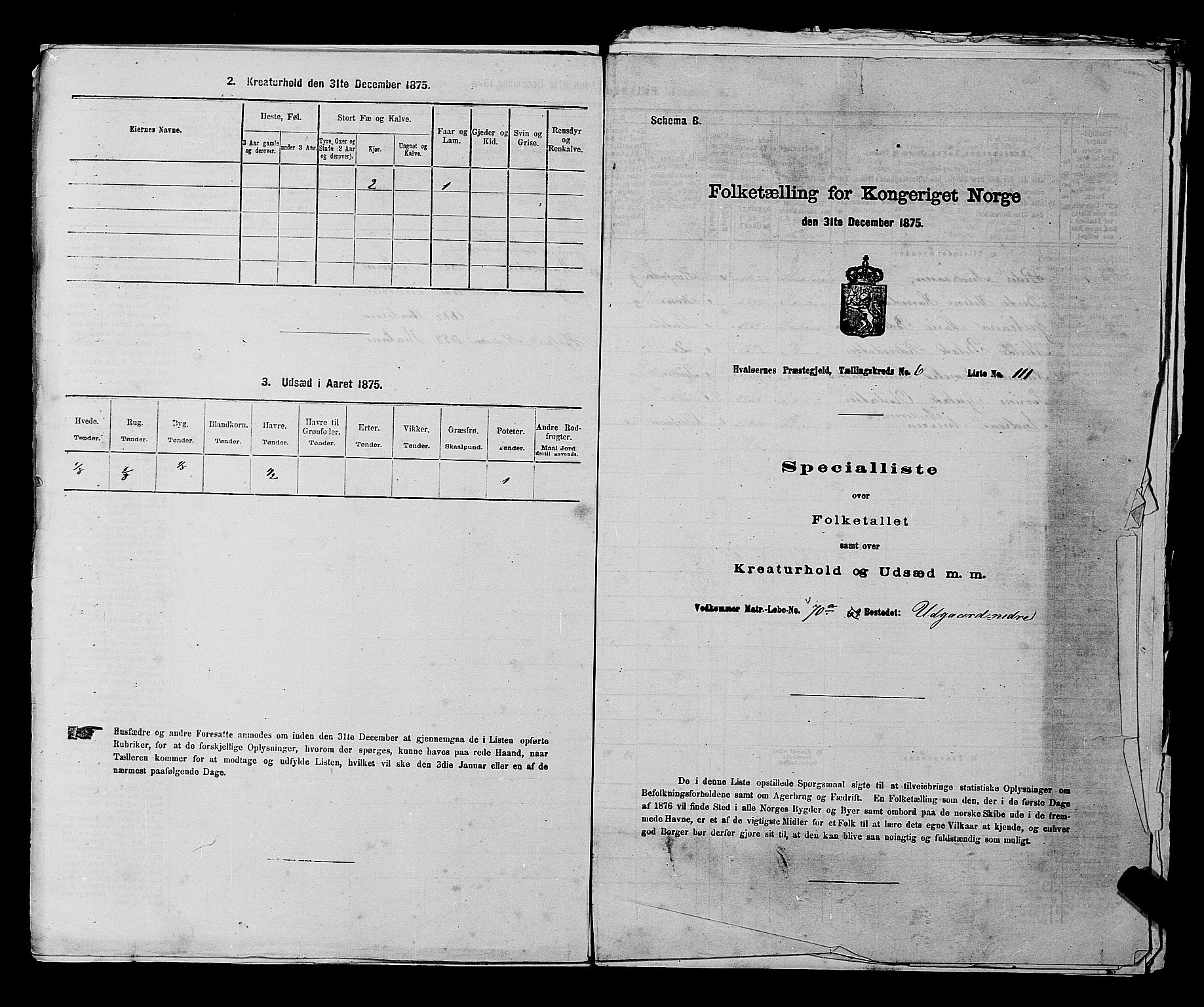 RA, 1875 census for 0111P Hvaler, 1875, p. 967