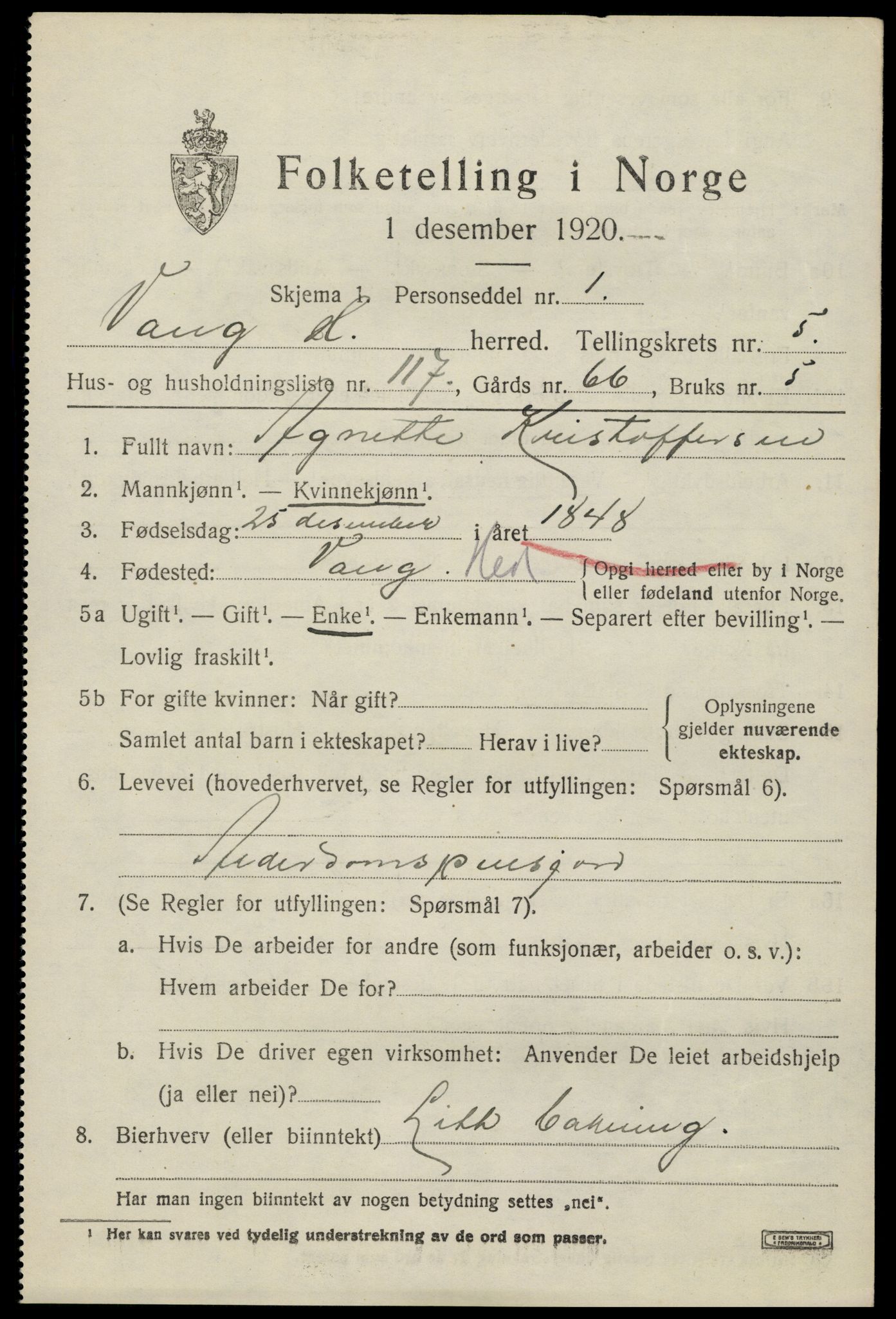 SAH, 1920 census for Vang (Hedmark), 1920, p. 15019