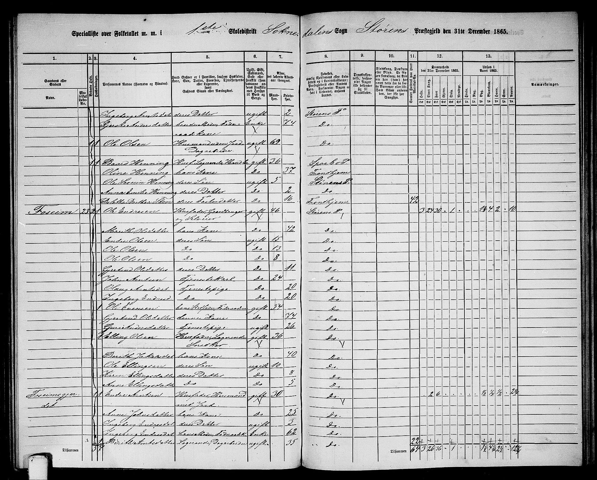 RA, 1865 census for Støren, 1865, p. 229