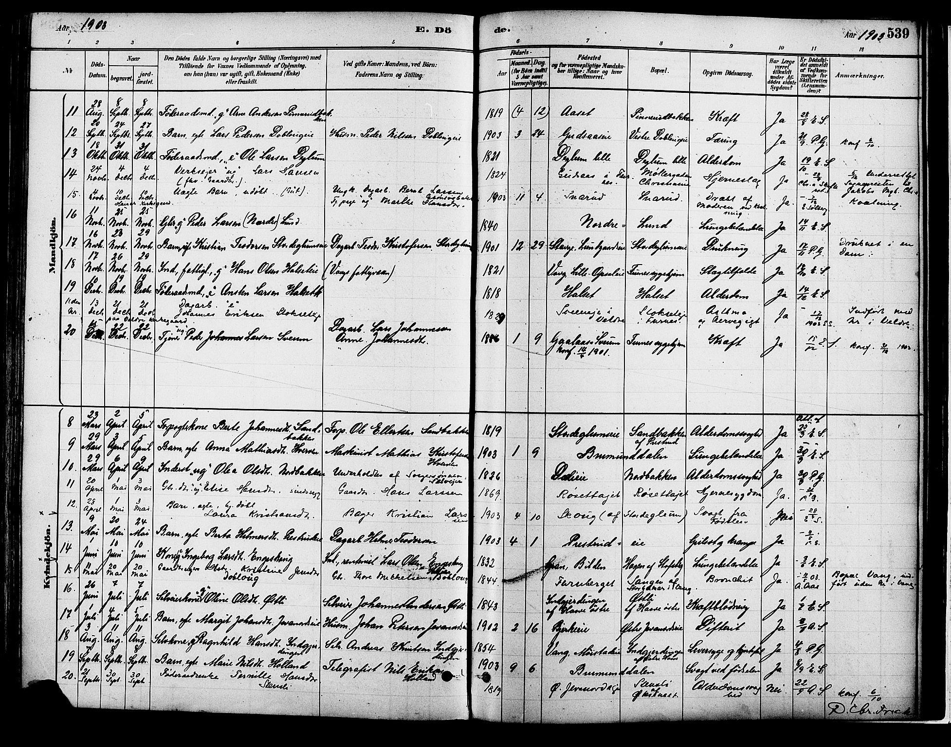 Vang prestekontor, Hedmark, SAH/PREST-008/H/Ha/Haa/L0018B: Parish register (official) no. 18B, 1880-1906, p. 539