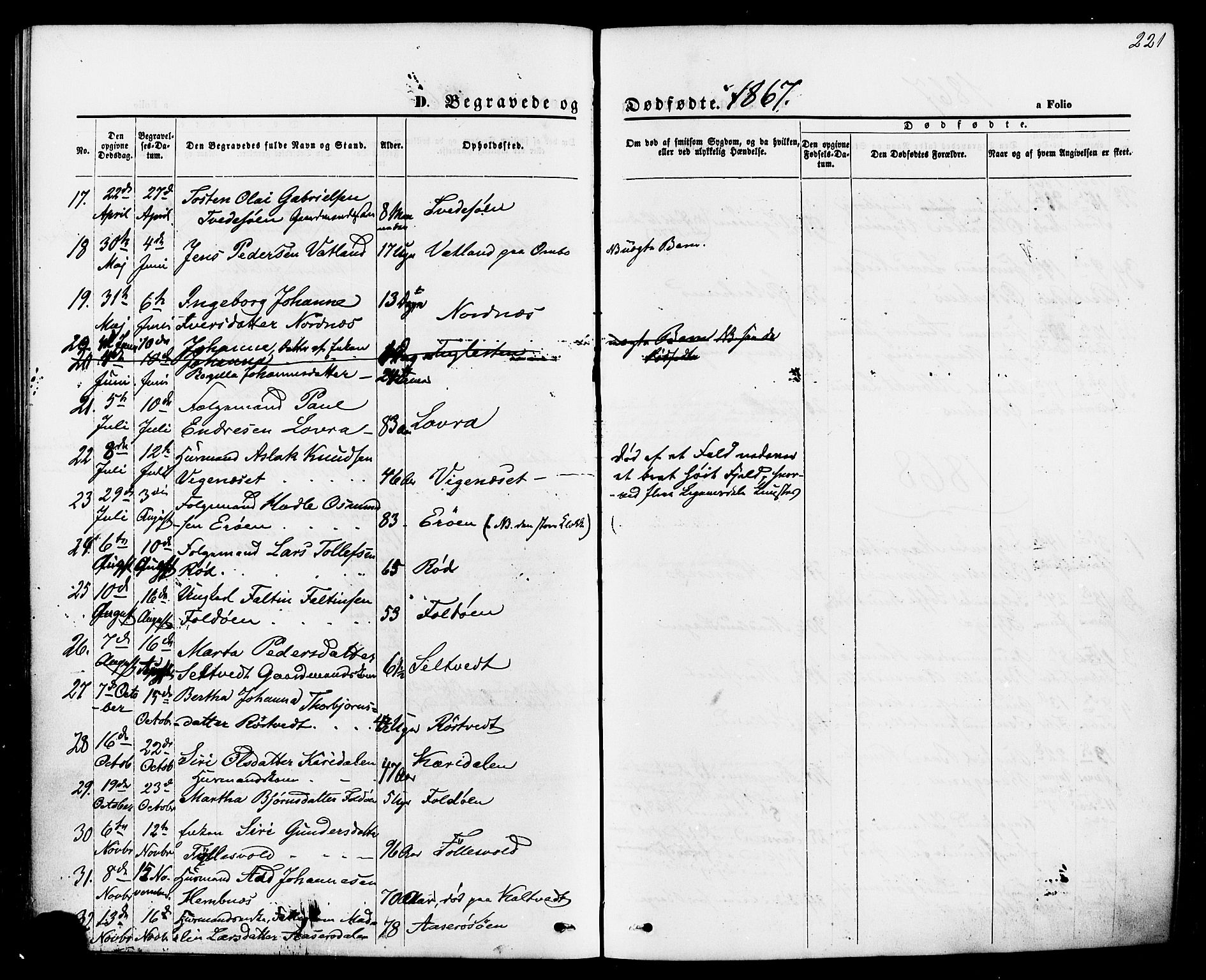 Jelsa sokneprestkontor, AV/SAST-A-101842/01/IV: Parish register (official) no. A 8, 1867-1883, p. 221